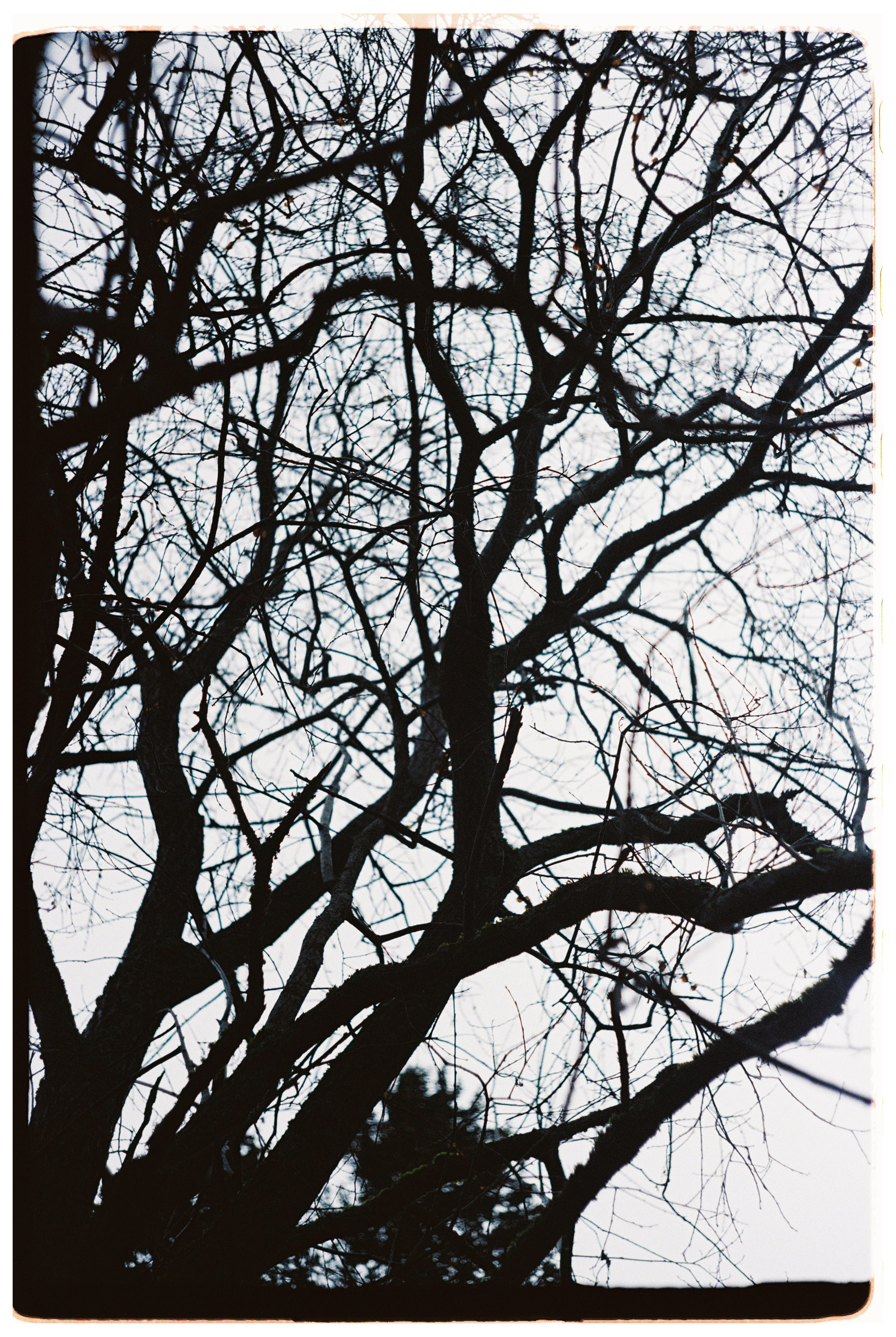 И вокруг меня. Портретный и концертный фотограф в Санкт-Петербурге Егор Телятников