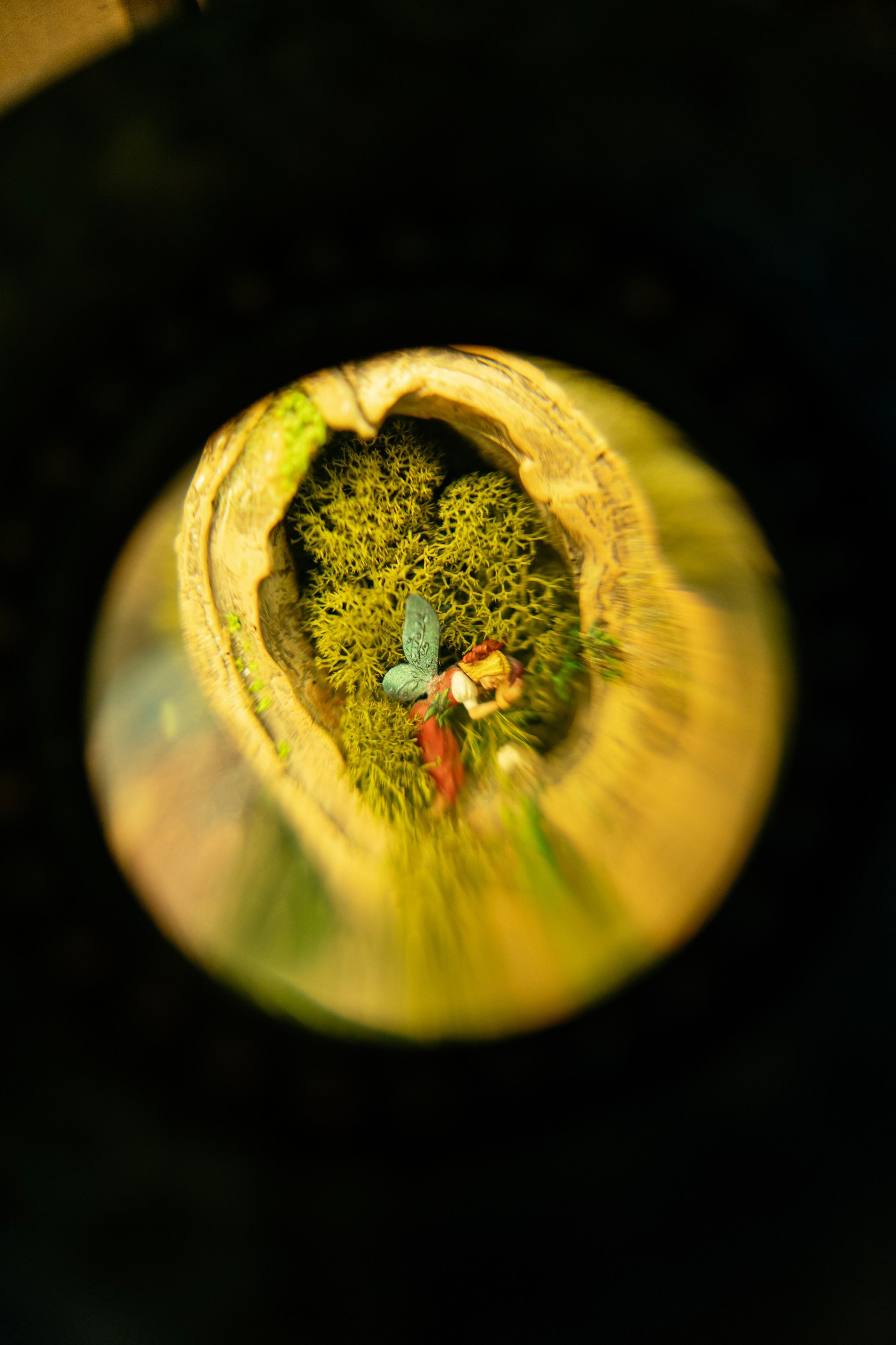 Небылица. Баев Дмитрий — фотограф из СПБ