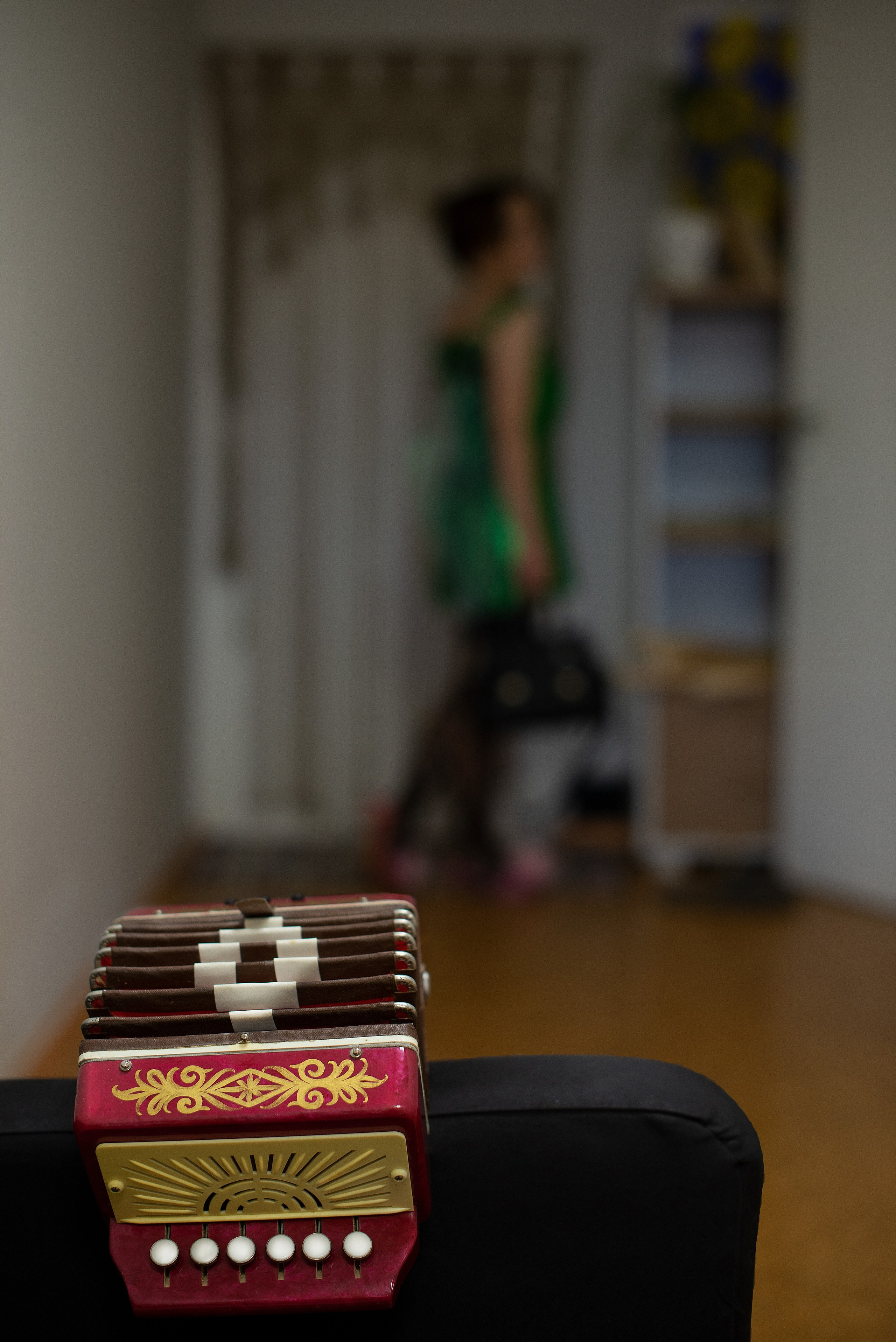 Образ мухи Наташи, из романа В. Пелевина «Жизнь насекомых». Творческий фотограф Вологда