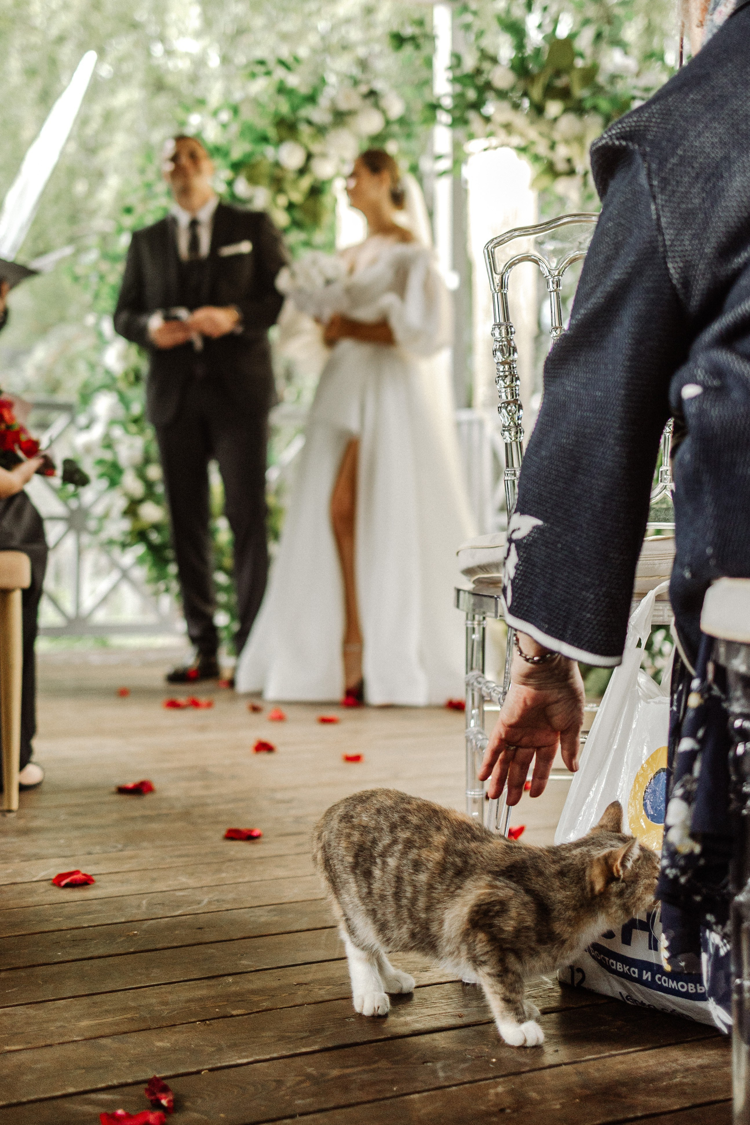 Арсений и Екатерина. Свадебный фотограф Маргарита Глумскова