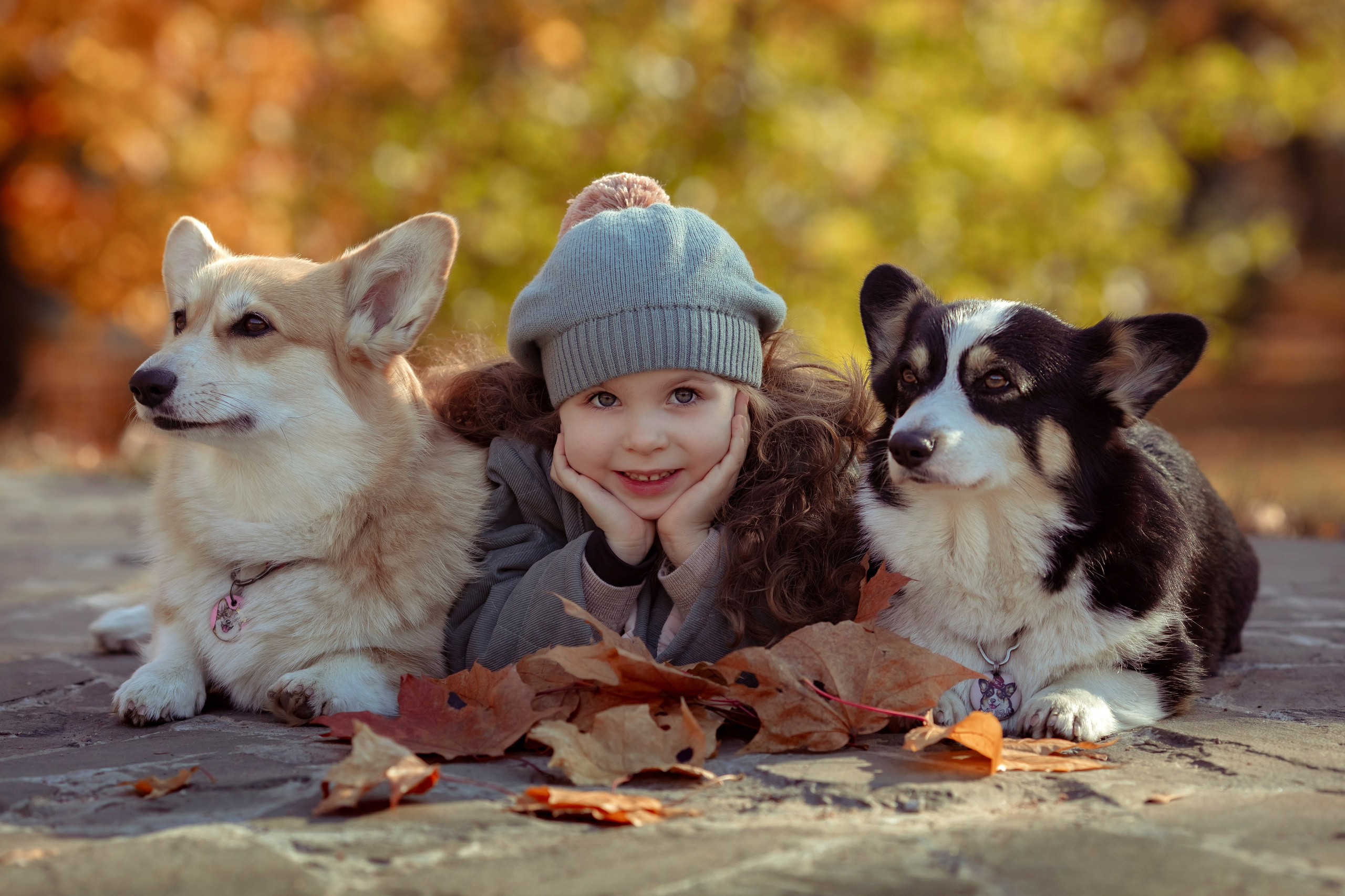 Эва с корги. Семейный и детский фотограф в Москве Дорогова Екатерина