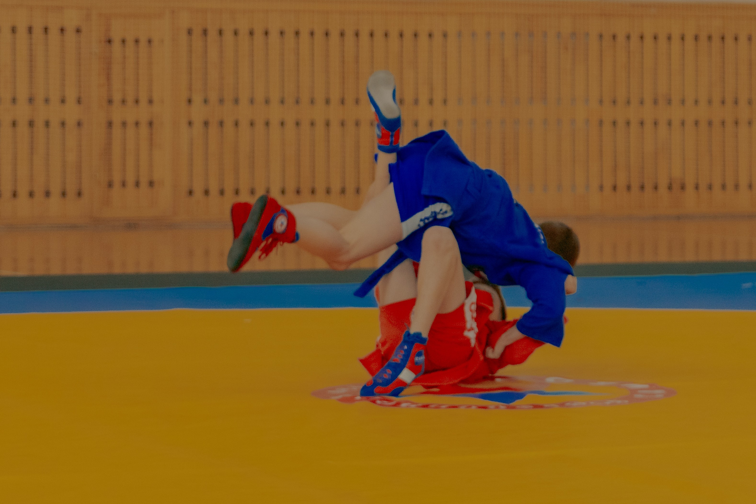 Самбо город Ишим