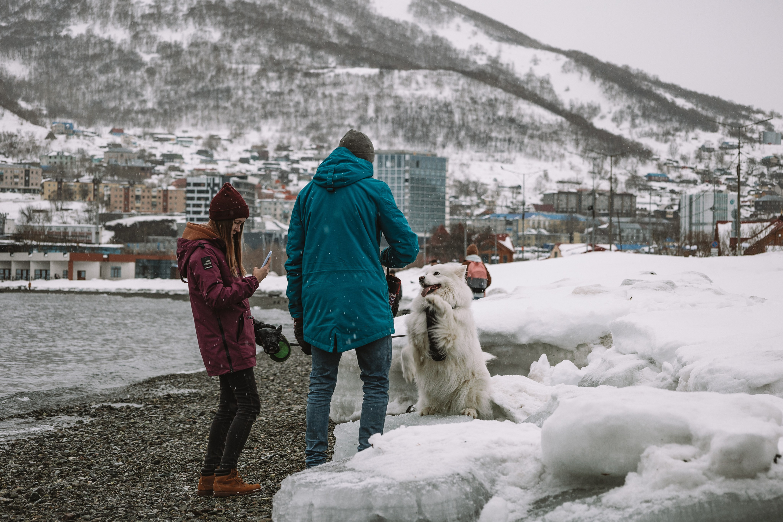 Камчатка. Главная