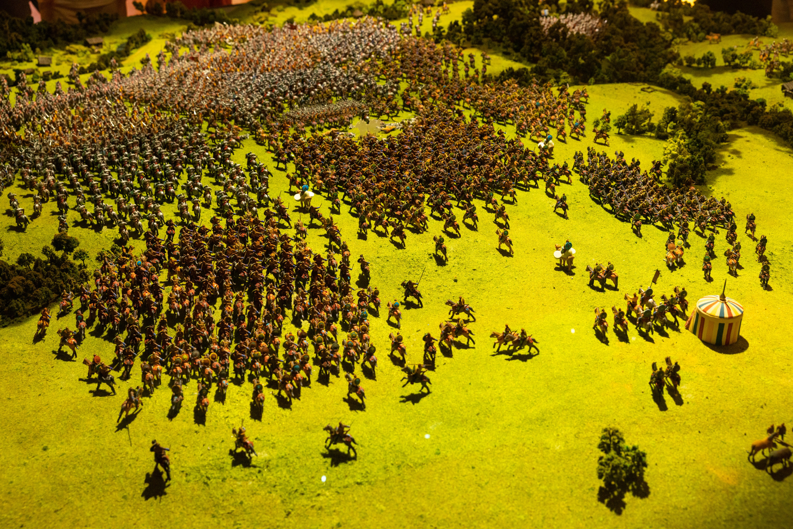 Поездка на поле Кулеково. Фотограф в Туле Крупский АнДРей. Фотостудия «КАДР71» в Туле