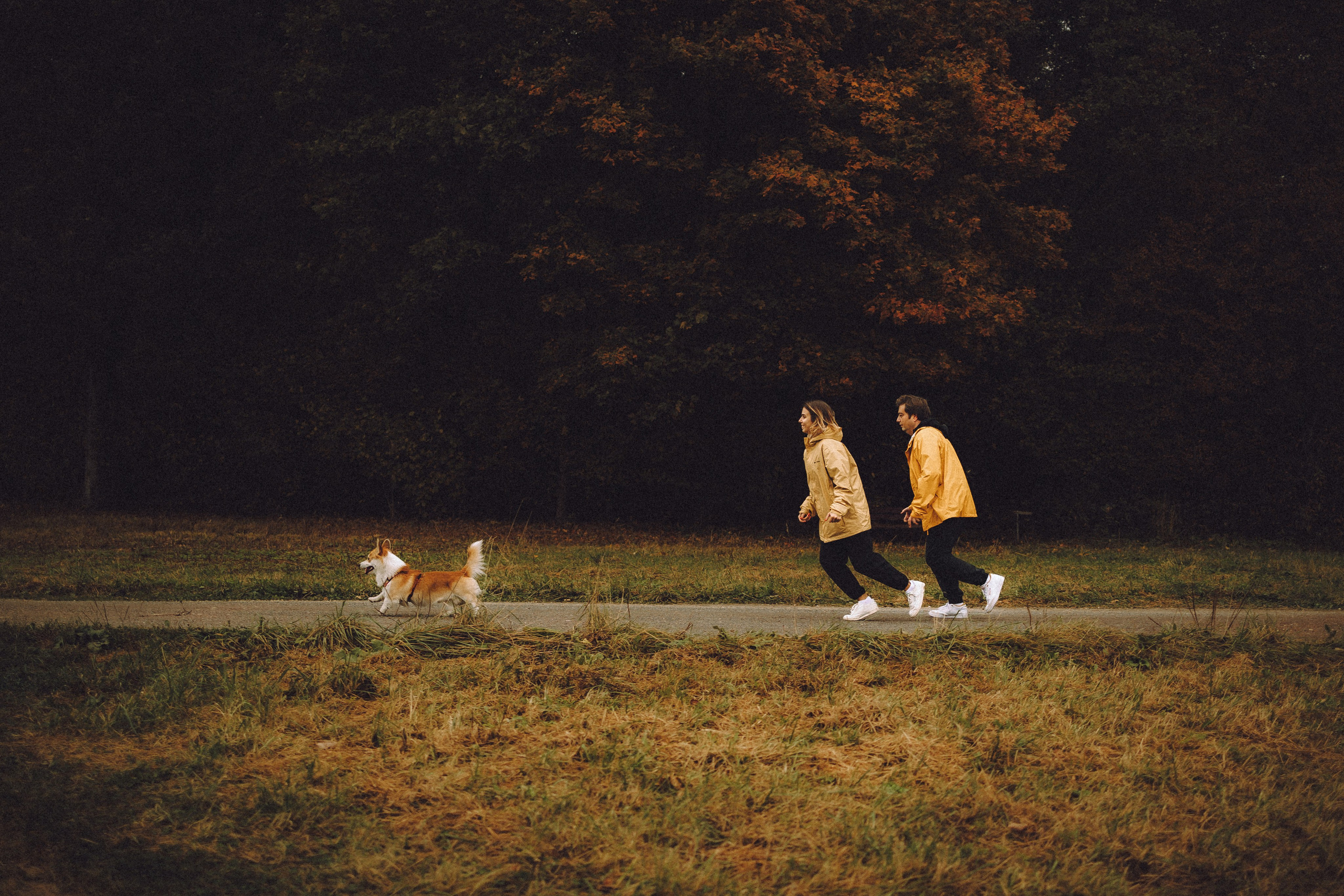 Вирджик и его семья