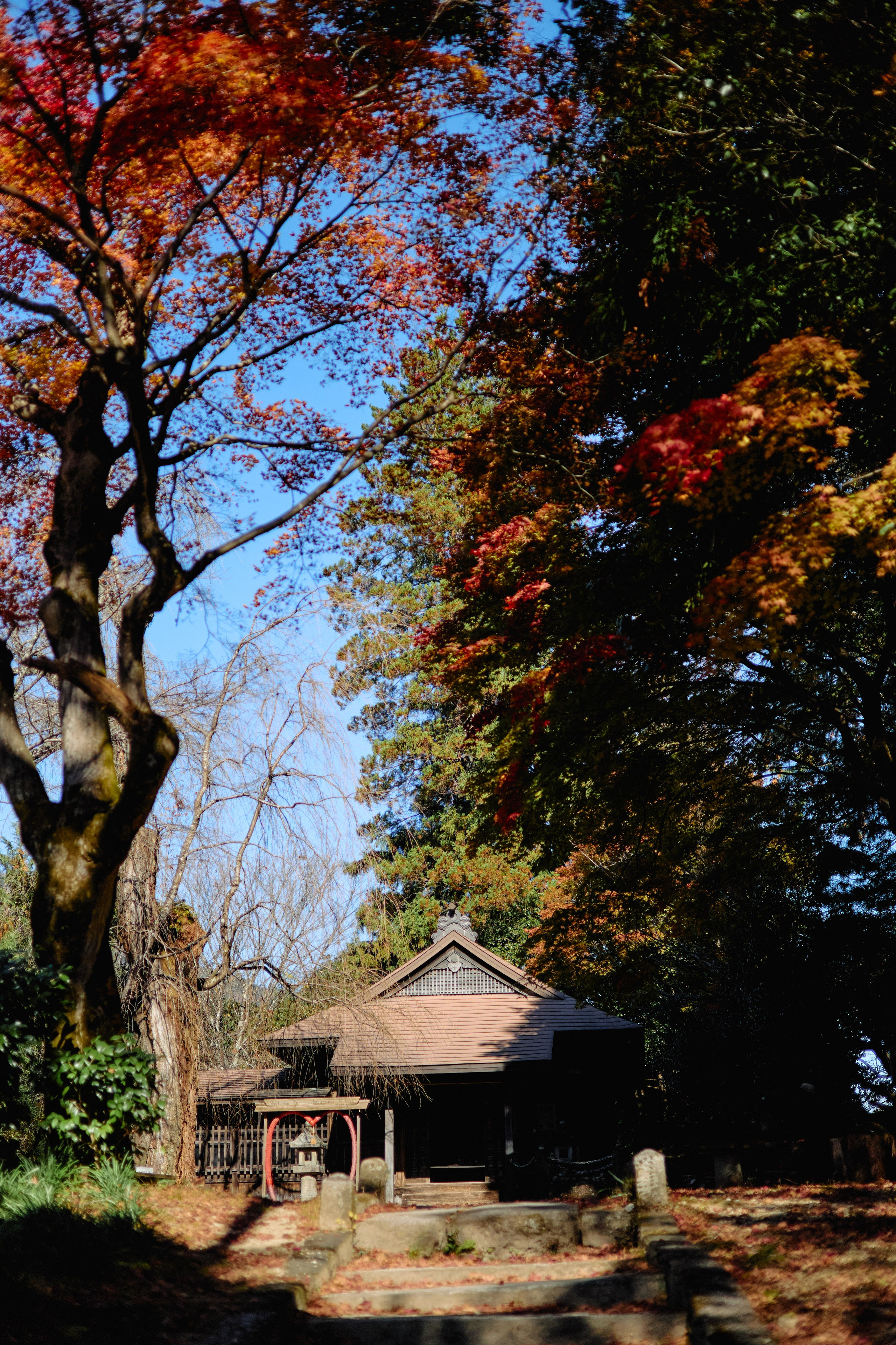 Япония. Профессиональный Фотограф во Владимире, в Москве и в Суздале — Полина Романычева