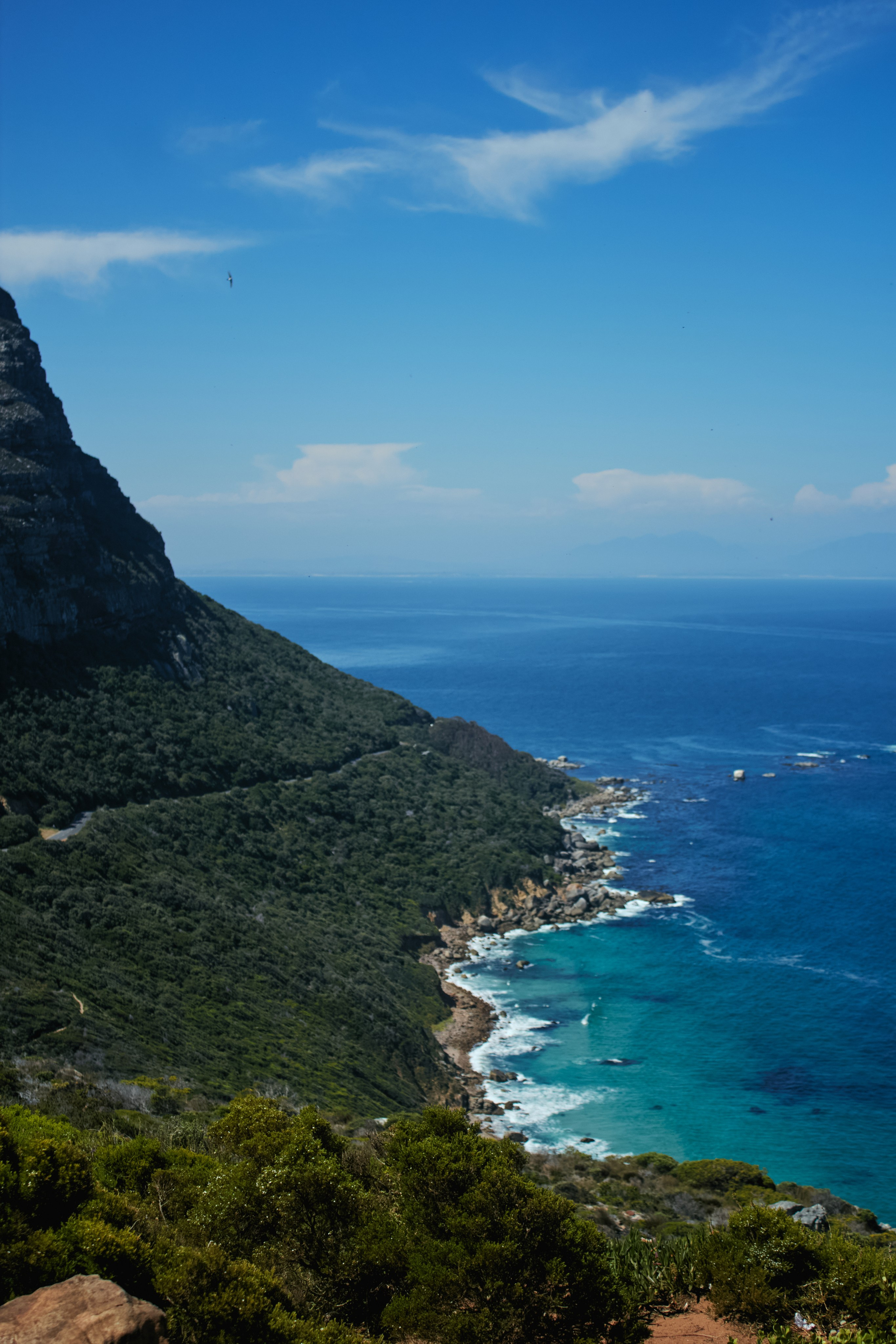 ЮАР. Профессиональный Фотограф во Владимире, в Москве и в Суздале — Полина Романычева