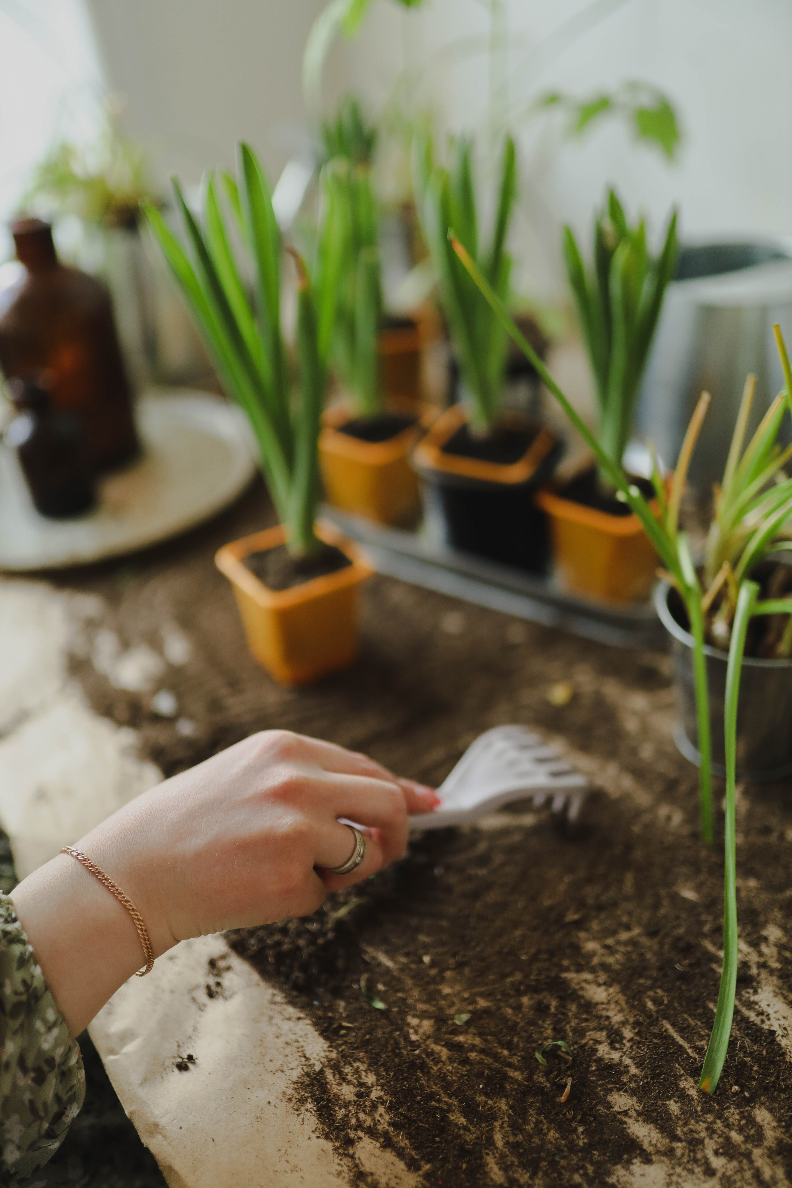 Юлия на Дачке. Фотограф в Москве и области Савина Антонина