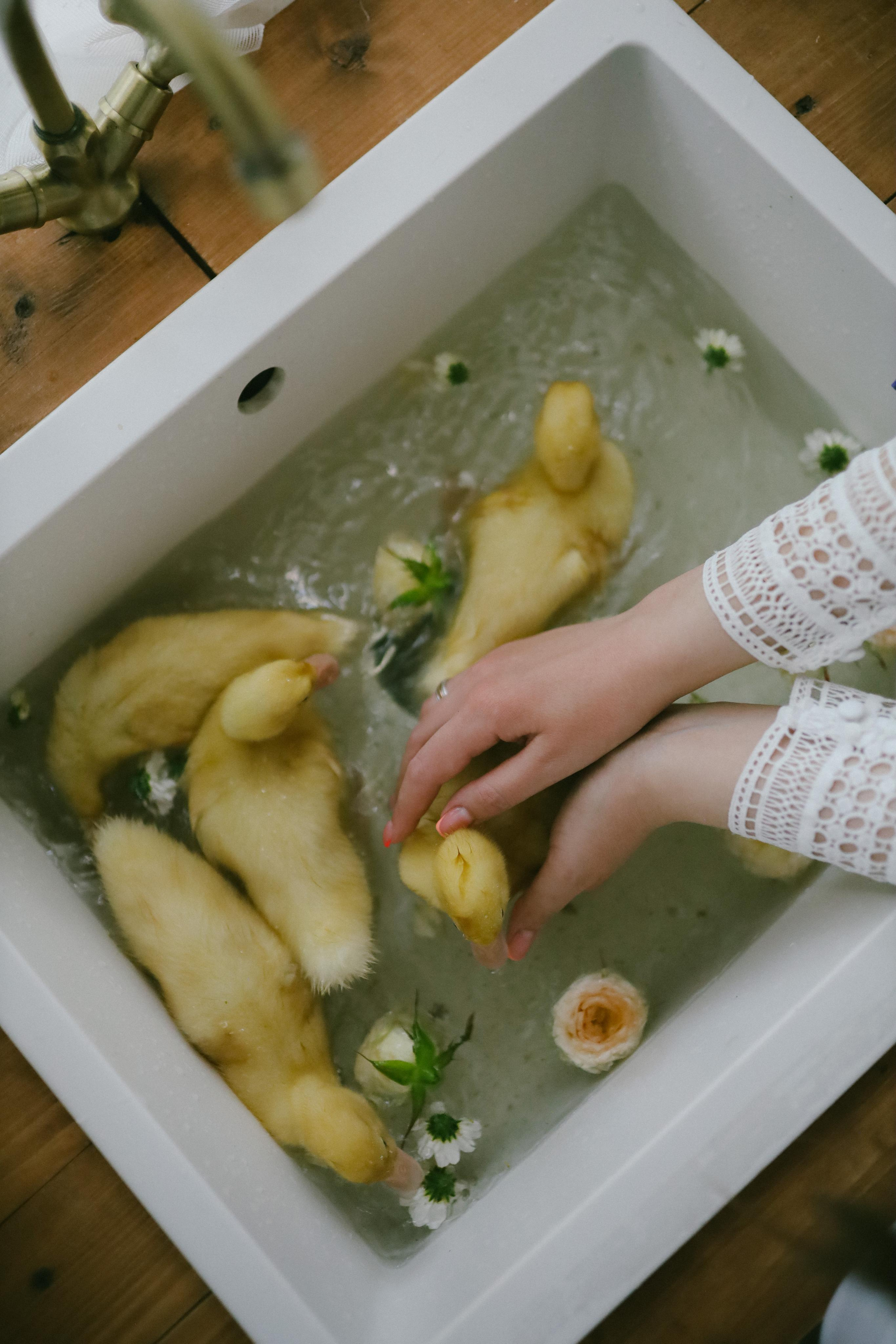 Юлия на Дачке. Фотограф в Москве и области Савина Антонина