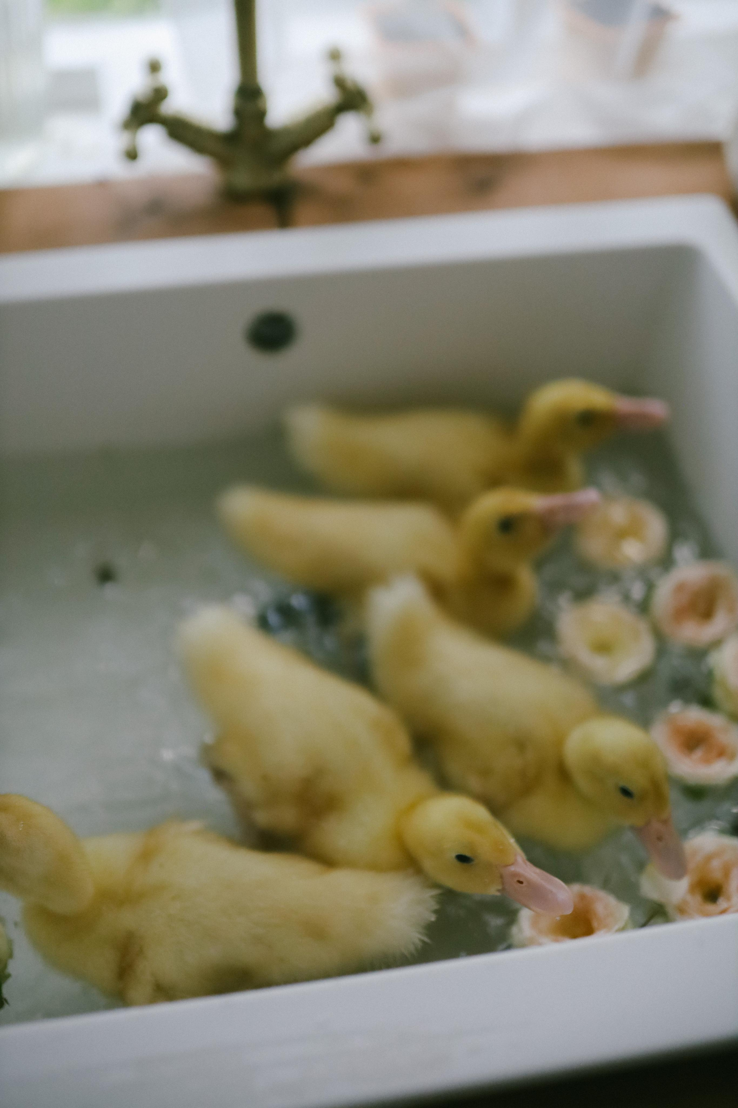 Юлия на Дачке. Фотограф в Москве и области Савина Антонина