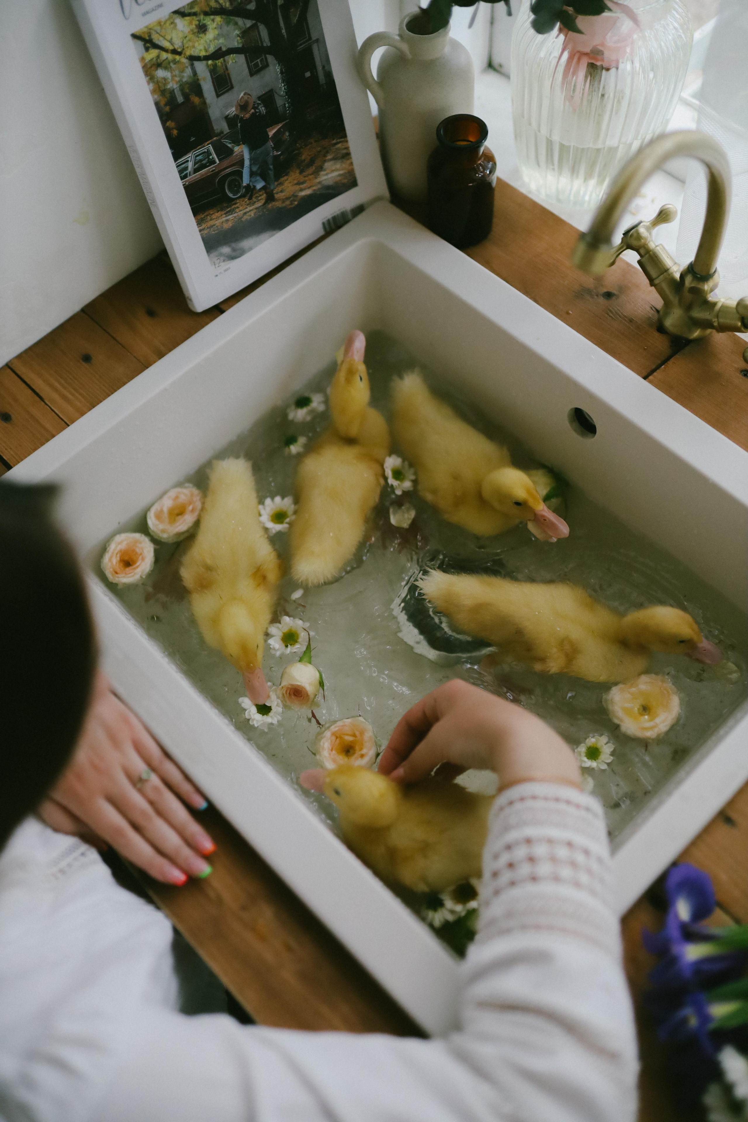 Юлия на Дачке. Фотограф в Москве и области Савина Антонина