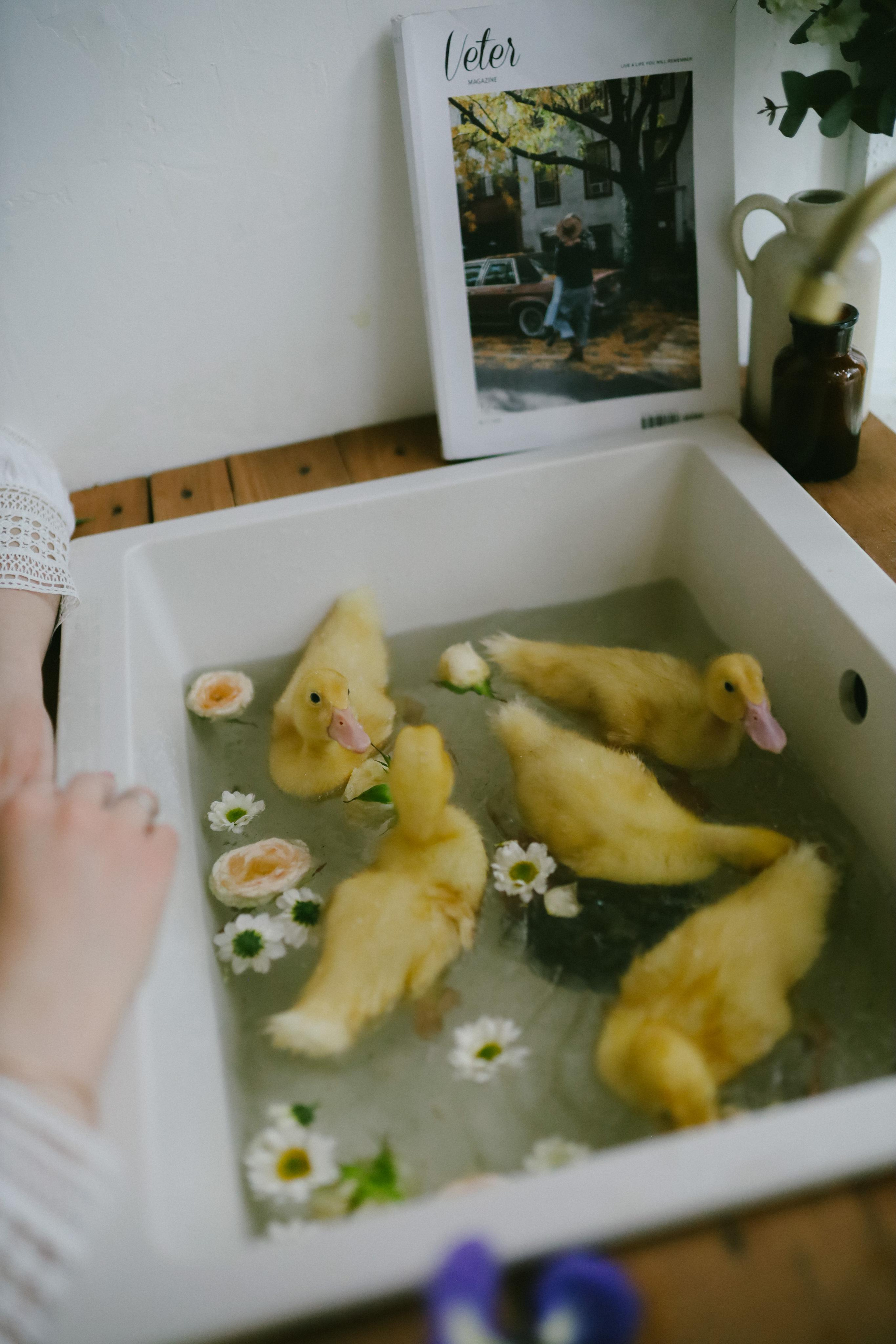 Юлия на Дачке. Фотограф в Москве и области Савина Антонина