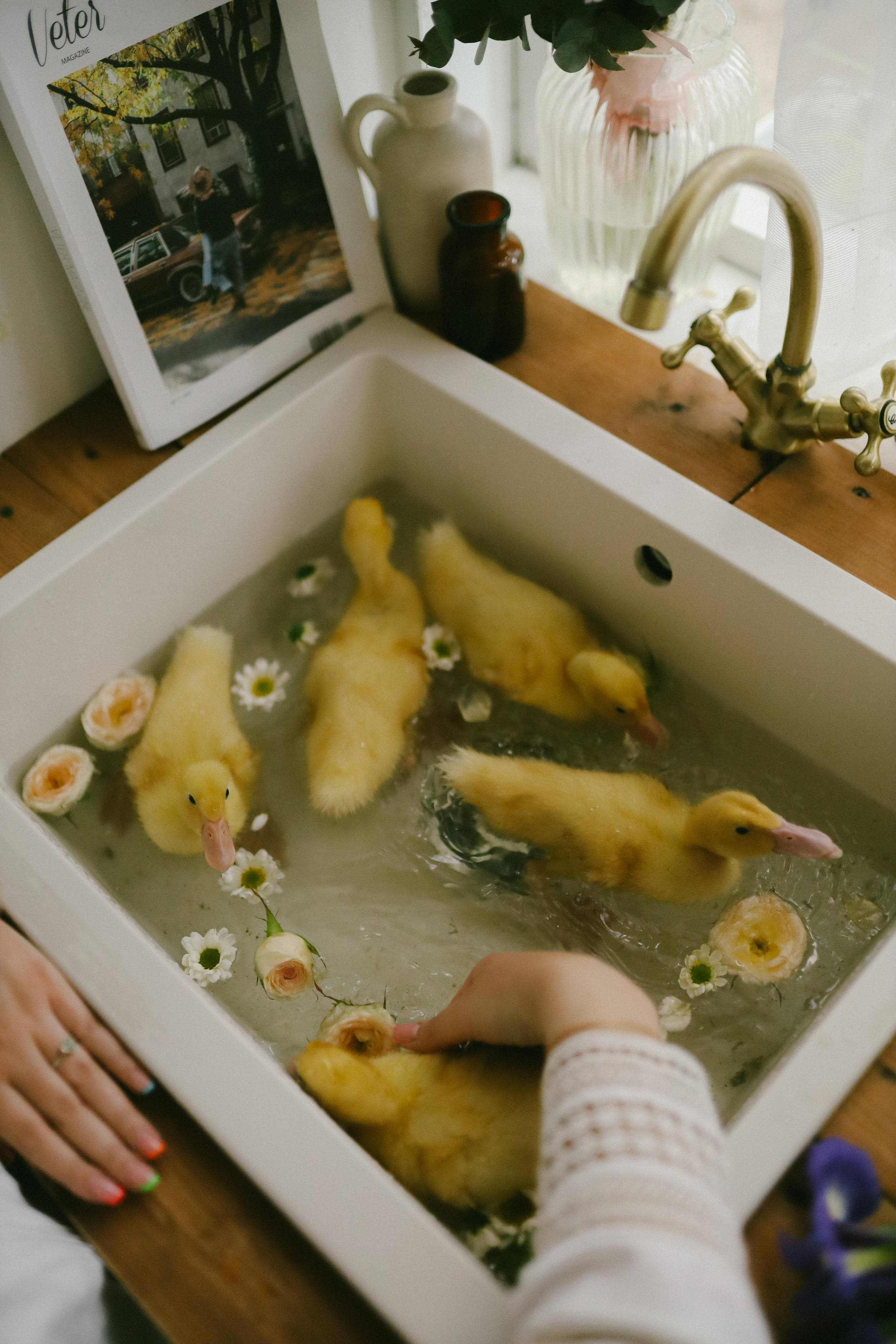 Юлия на Дачке. Фотограф в Москве и области Савина Антонина