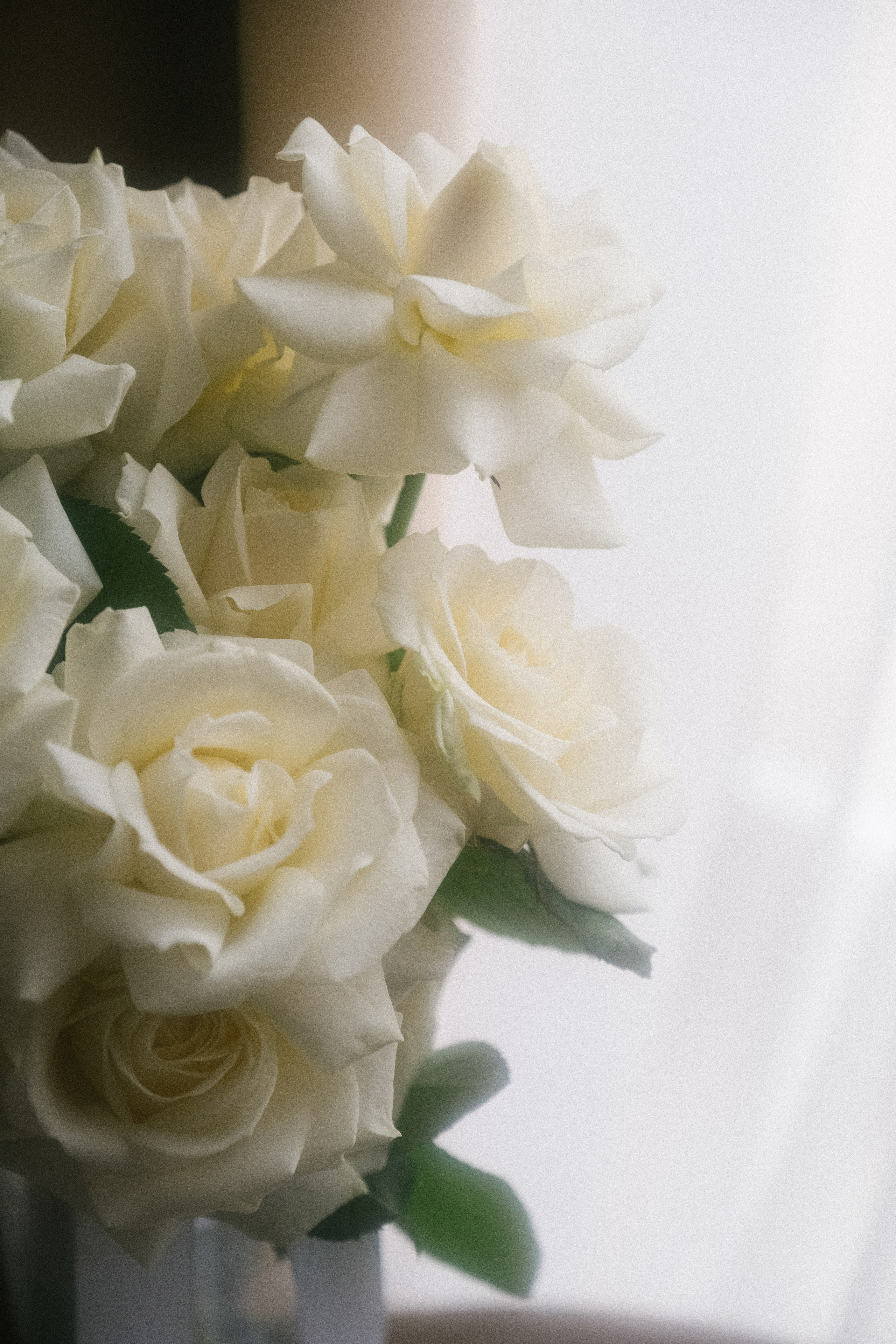 Old Money. Свадебный Видеограф Фотограф в Сочи