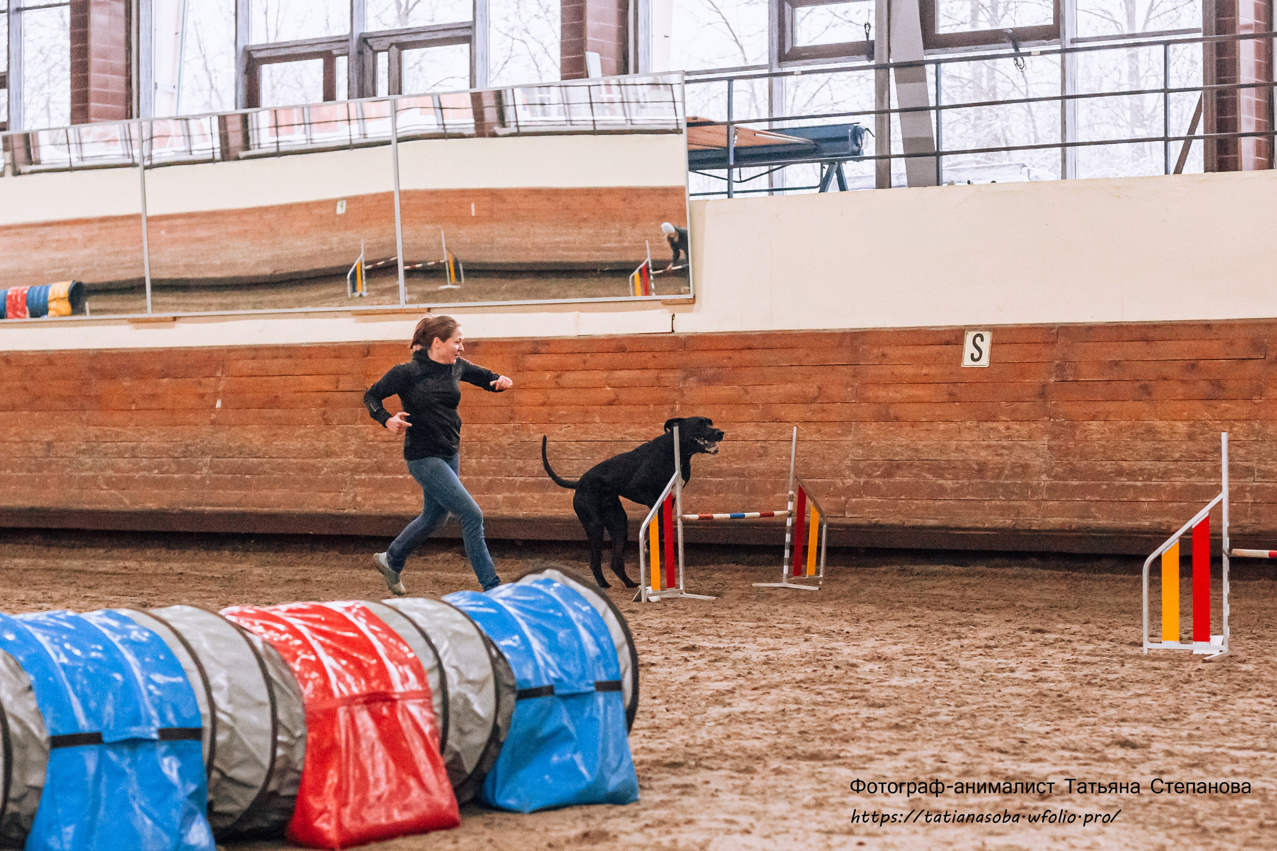 Соревнования по Аджилити 25.02.2024. Фотограф-анималист Татьяна Степанова