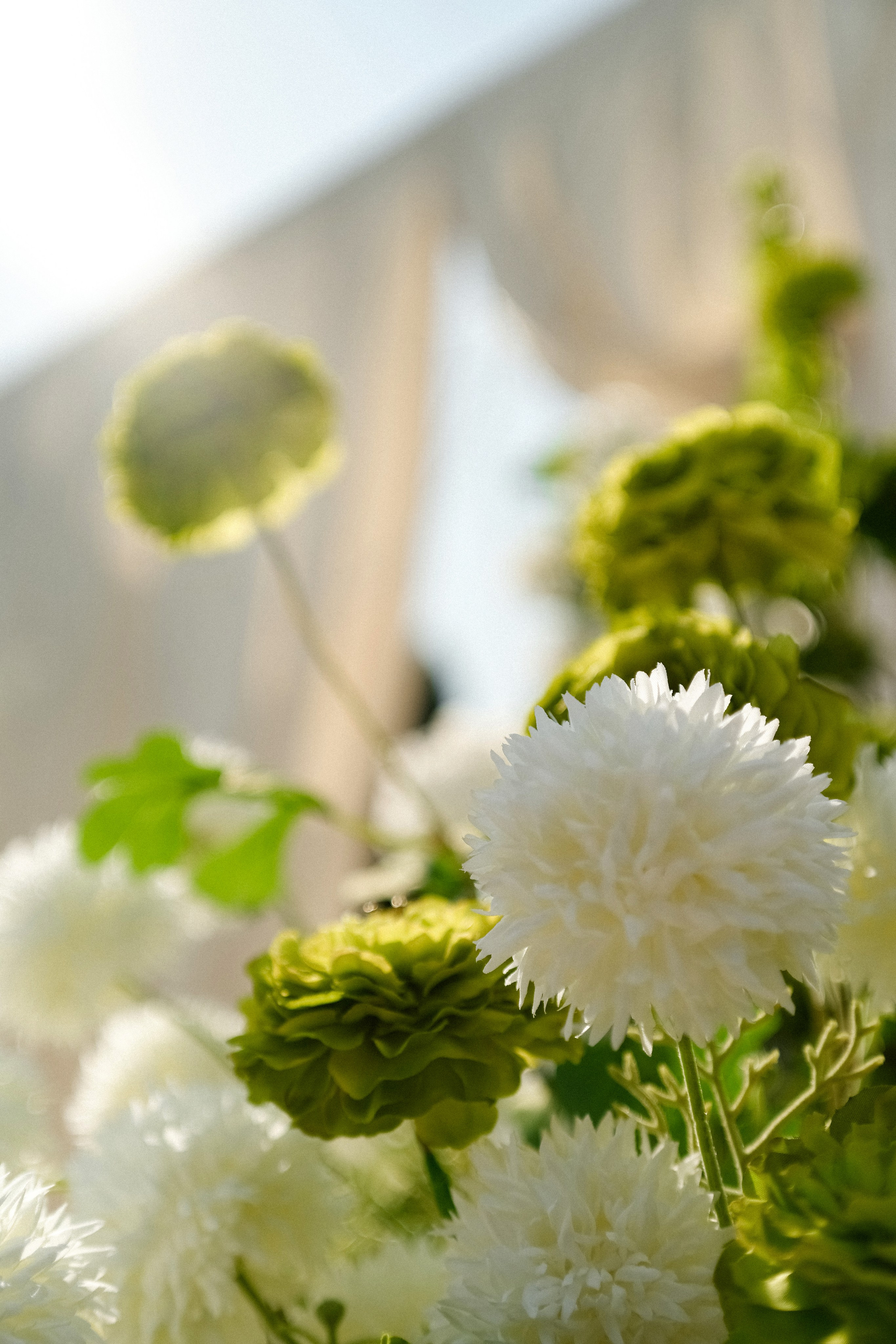 Gladioli of love. Свадебный фотограф и видеограф в Ростове-на-Дону. Максим и Наталья Лебедевы