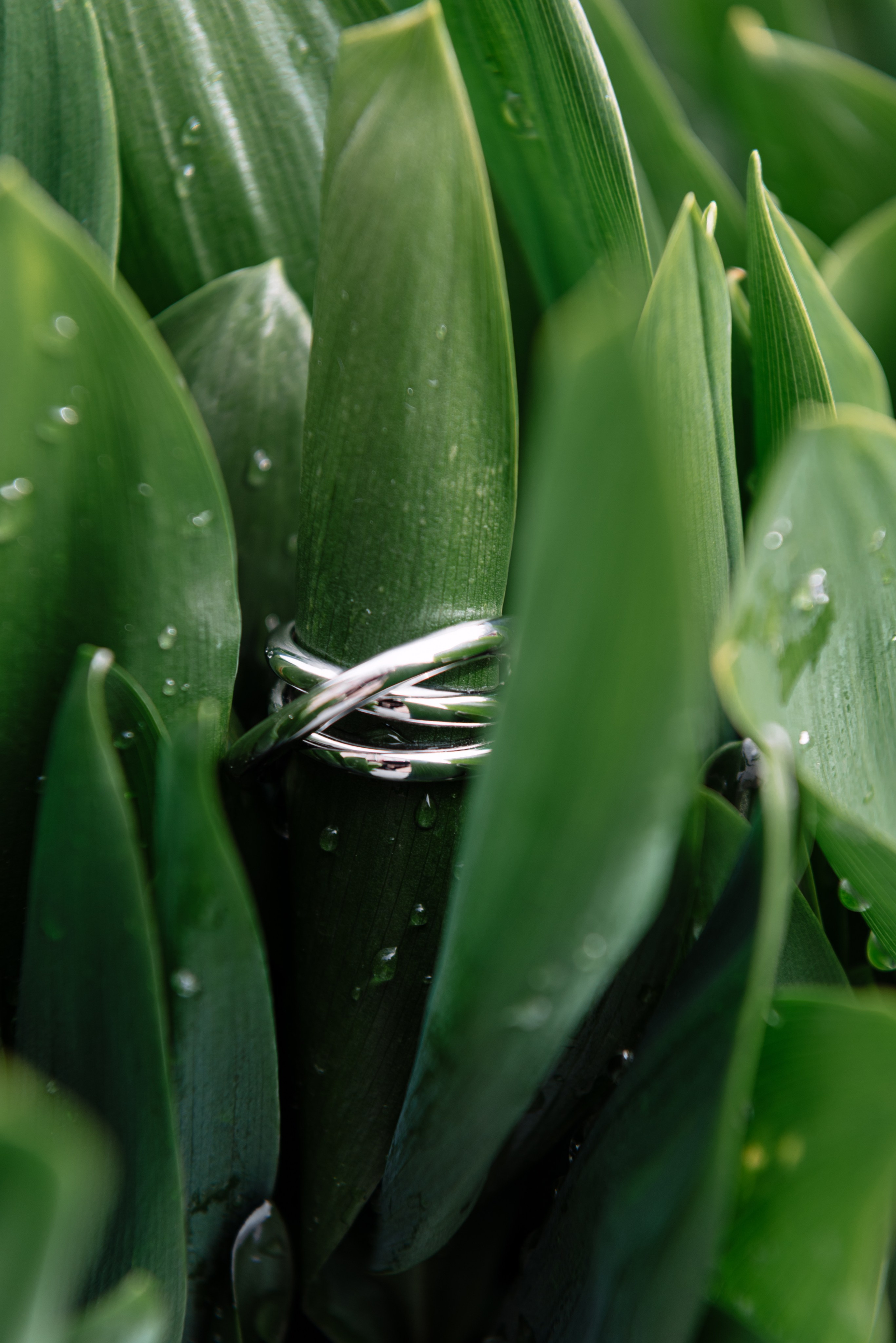 Портретный и fashion-фотограф в Москве Елена Бронская