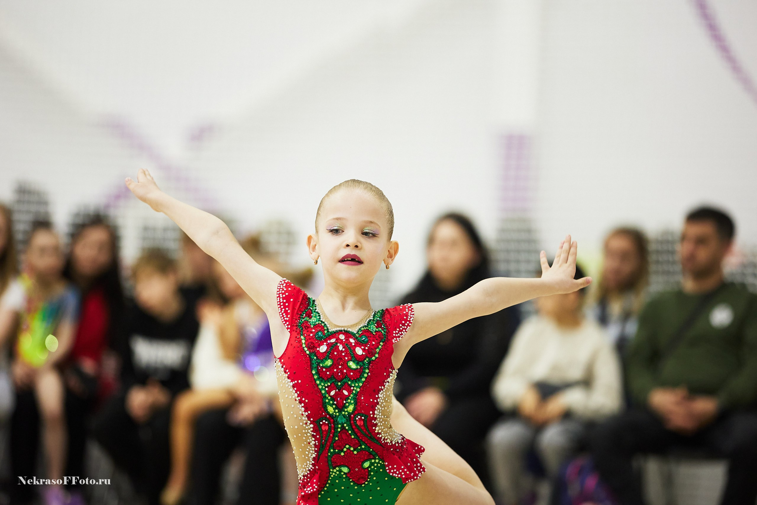 Художественная гимнастика. Спортивный фотограф Некрасов Денис