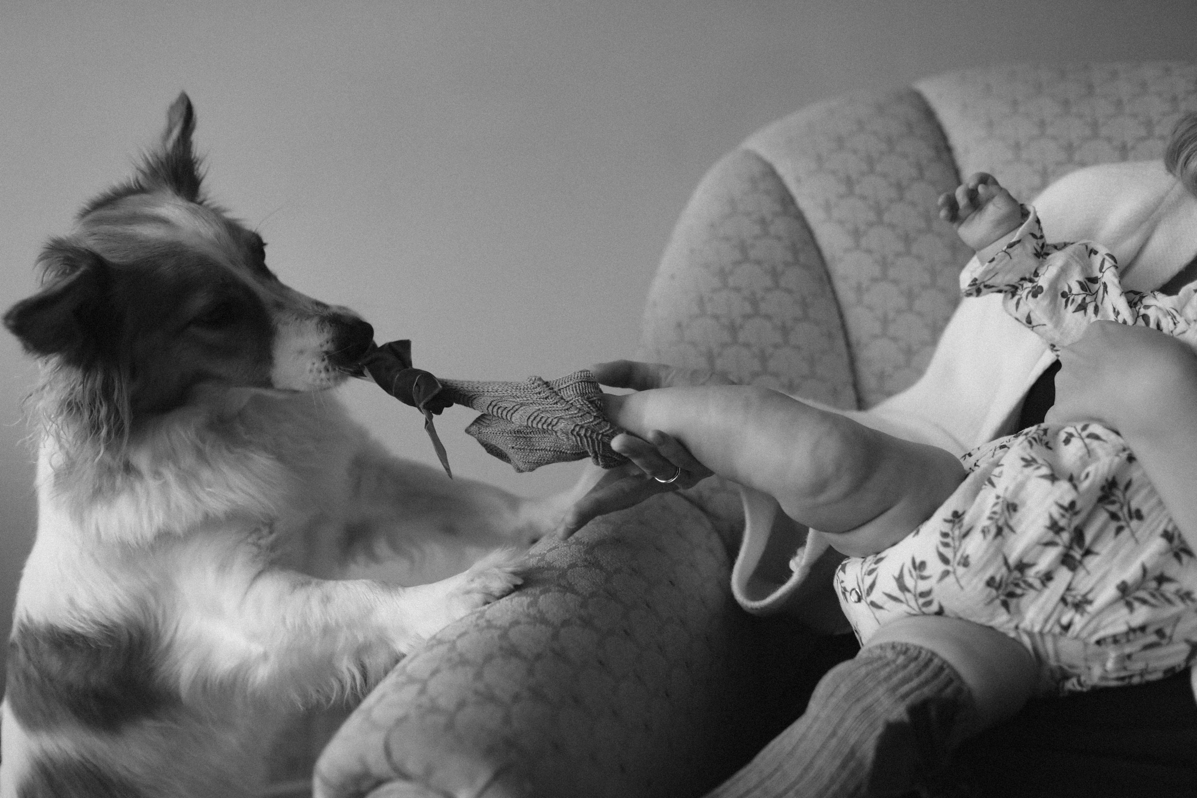 Нежность. Семейный фотограф в Москве Алевтина Носова