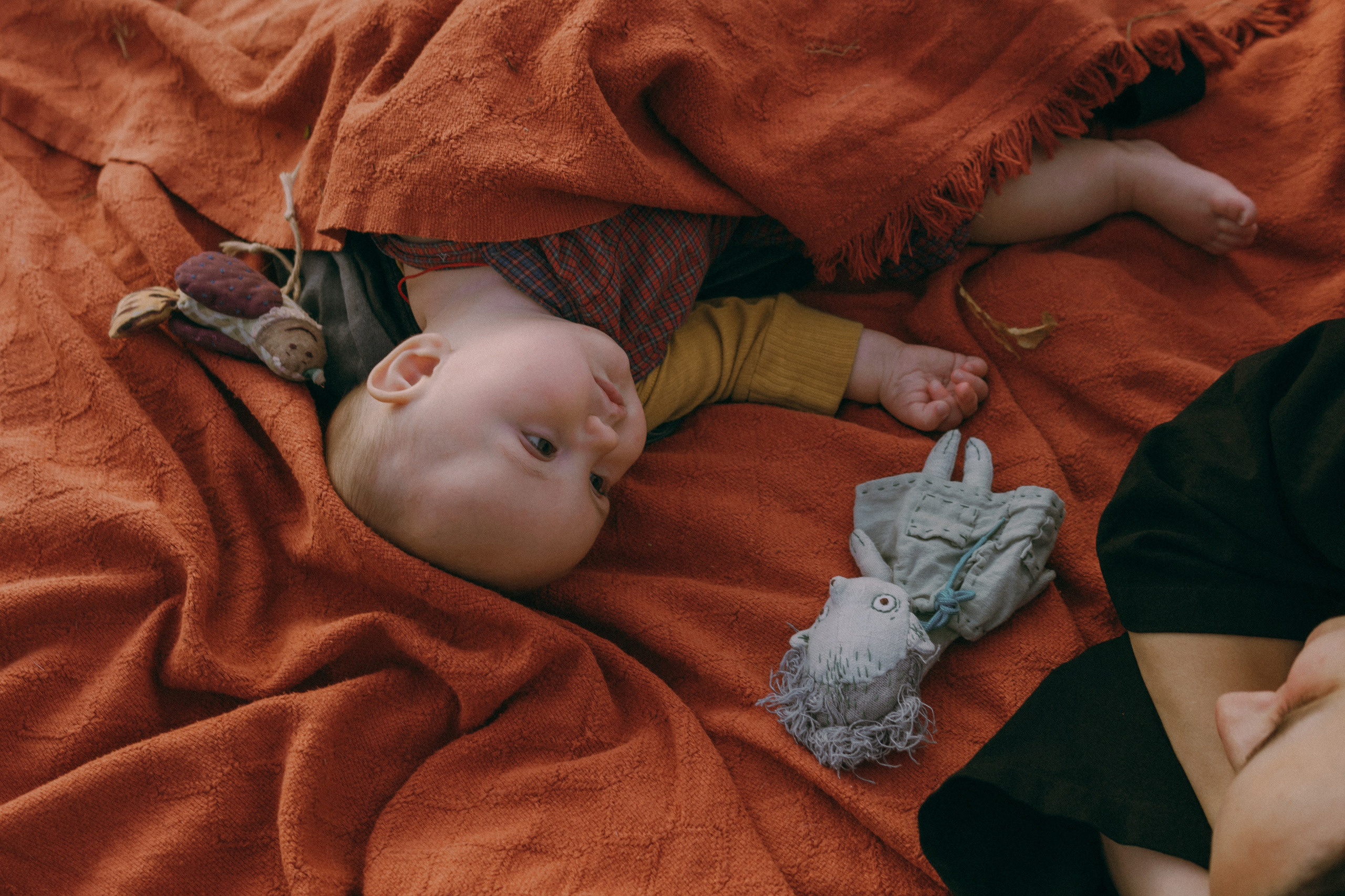 Маша и Мирра. Фотограф-анималист Ксения Воробьева, Москва