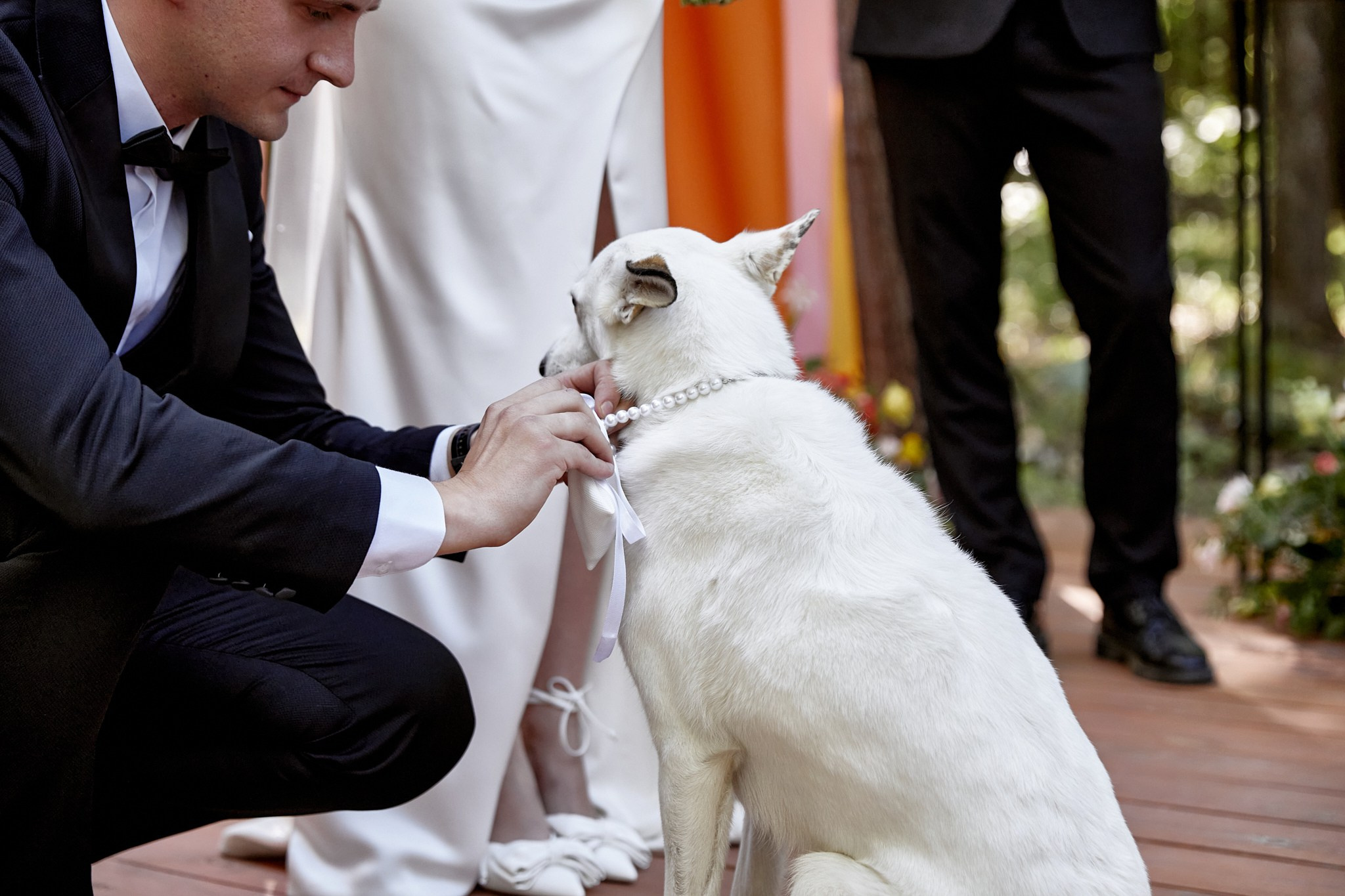 Свадебная фотосъёмка в Ульяновске. Свадебный фотограф в Ульяновске Александр Никитин