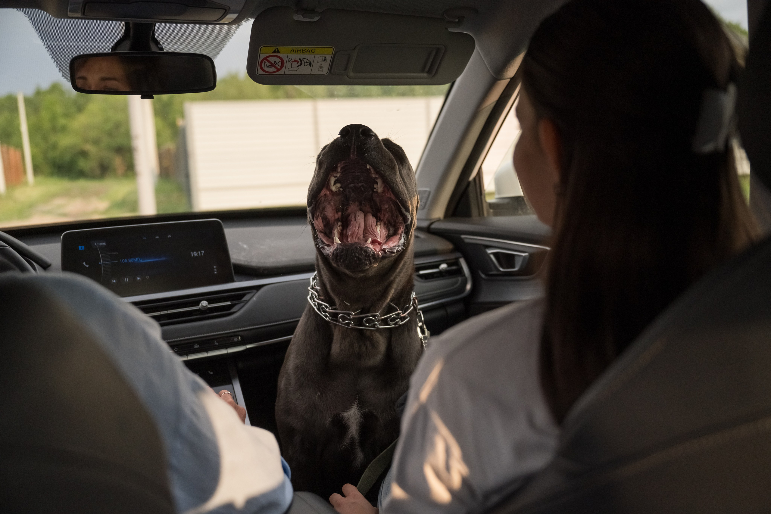 Дина, Яна и Лео. Фотограф Саратов Юлия Петрова