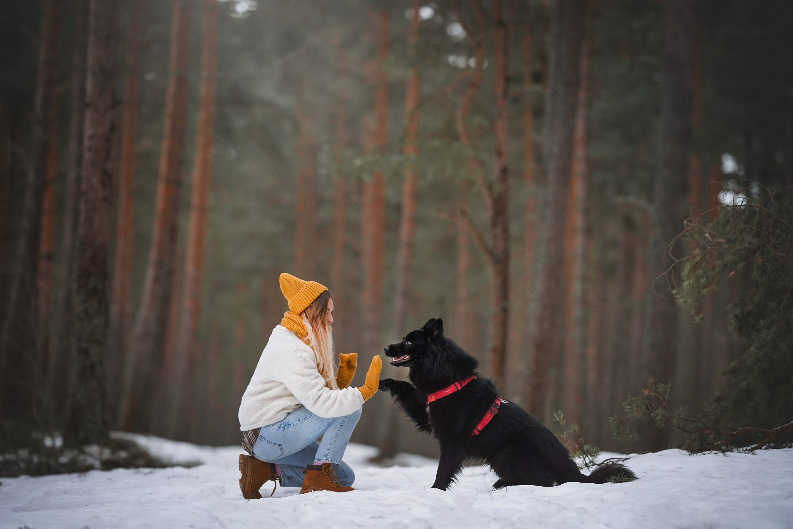 Лора Джанго и Хэппи. Фотограф-анималист в Санкт-Петербурге Яна Мартынова