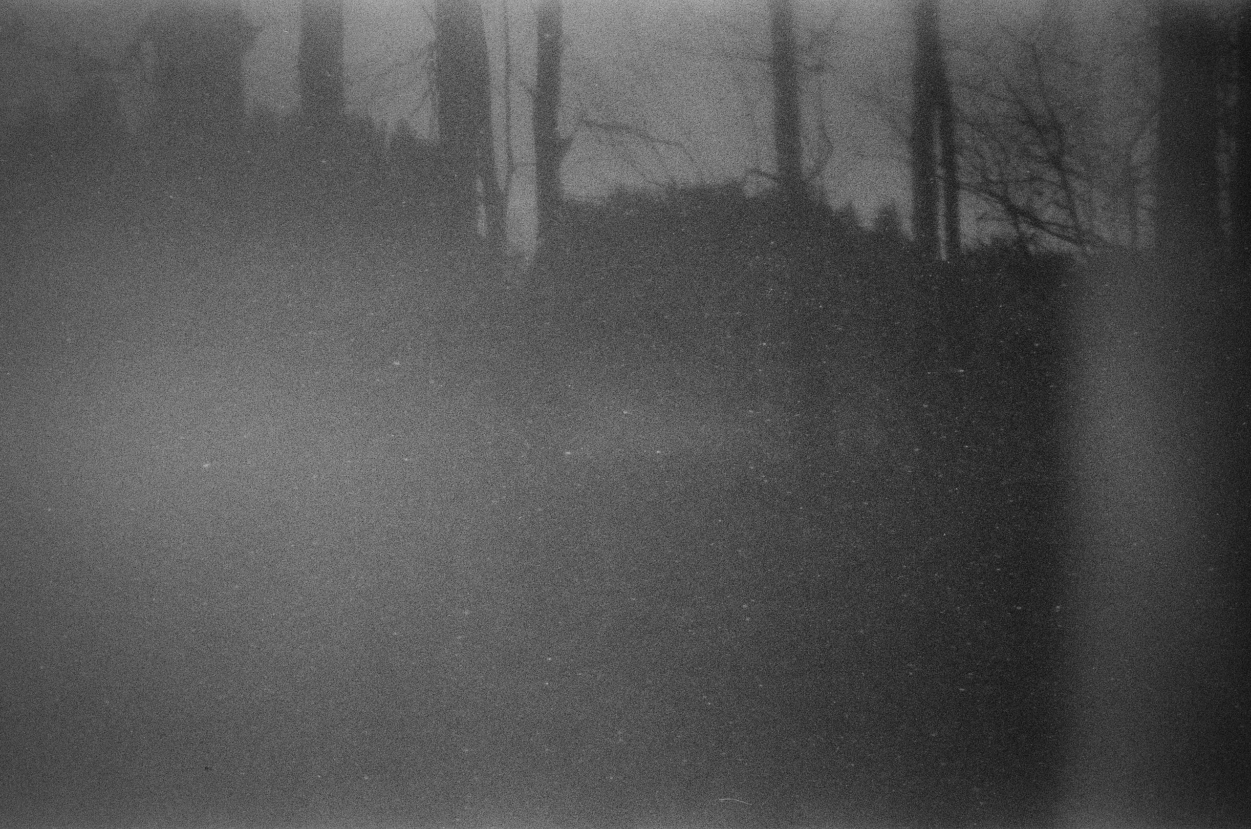 Плёнка 35/120мм. Katya Medvedeva