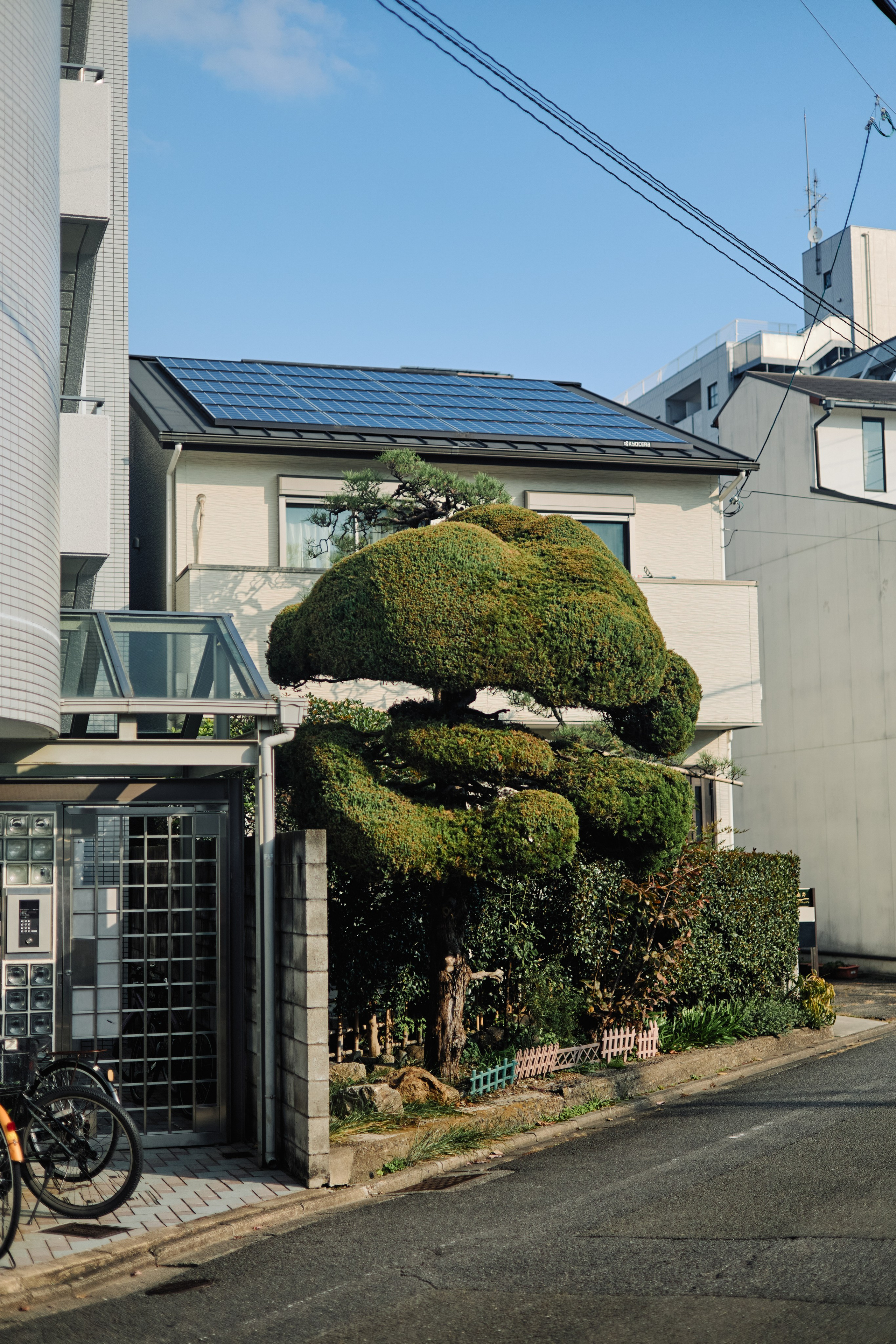 Япония. Профессиональный Фотограф во Владимире, в Москве и в Суздале — Полина Романычева