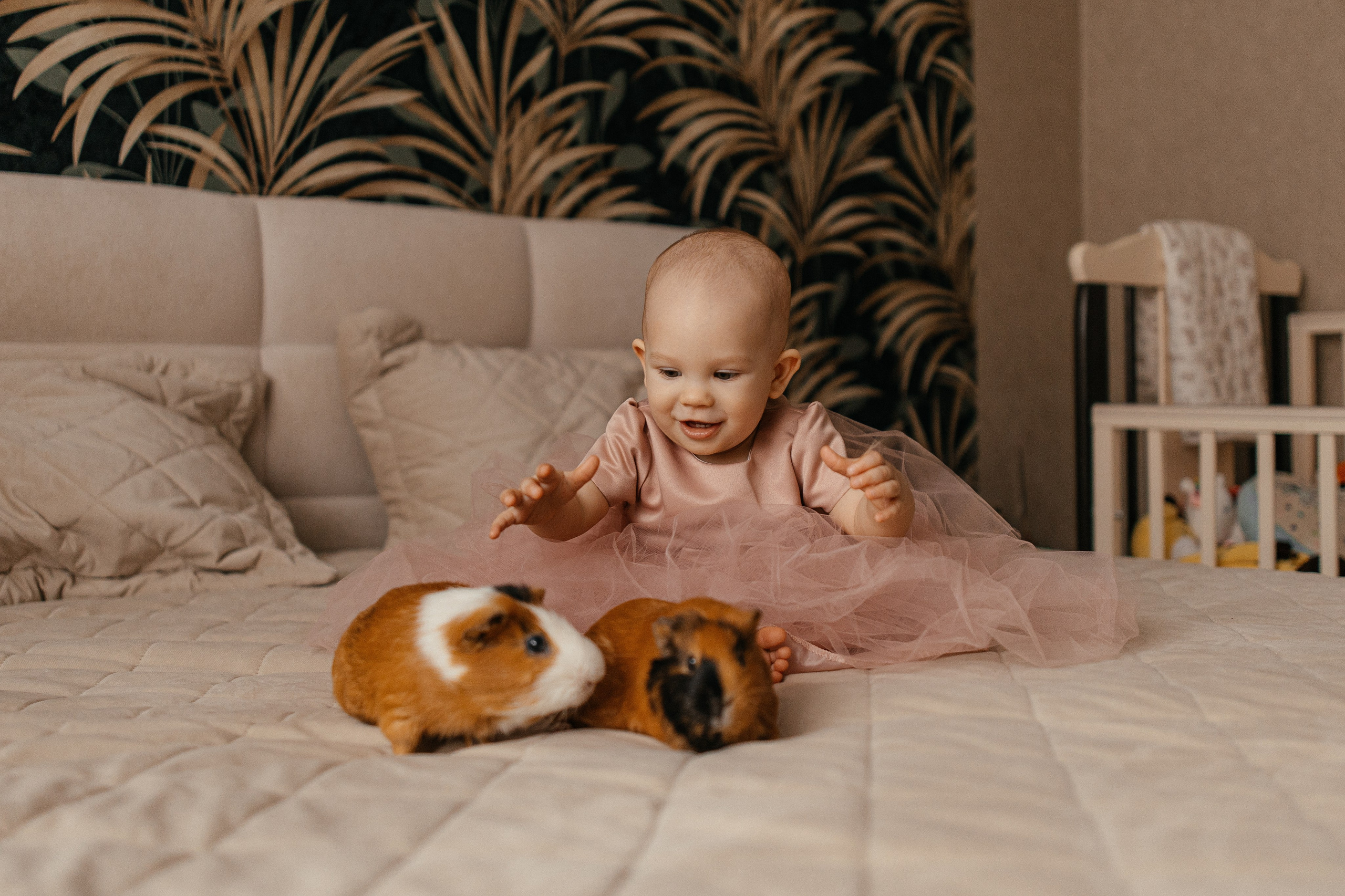 Есении годик. Главная