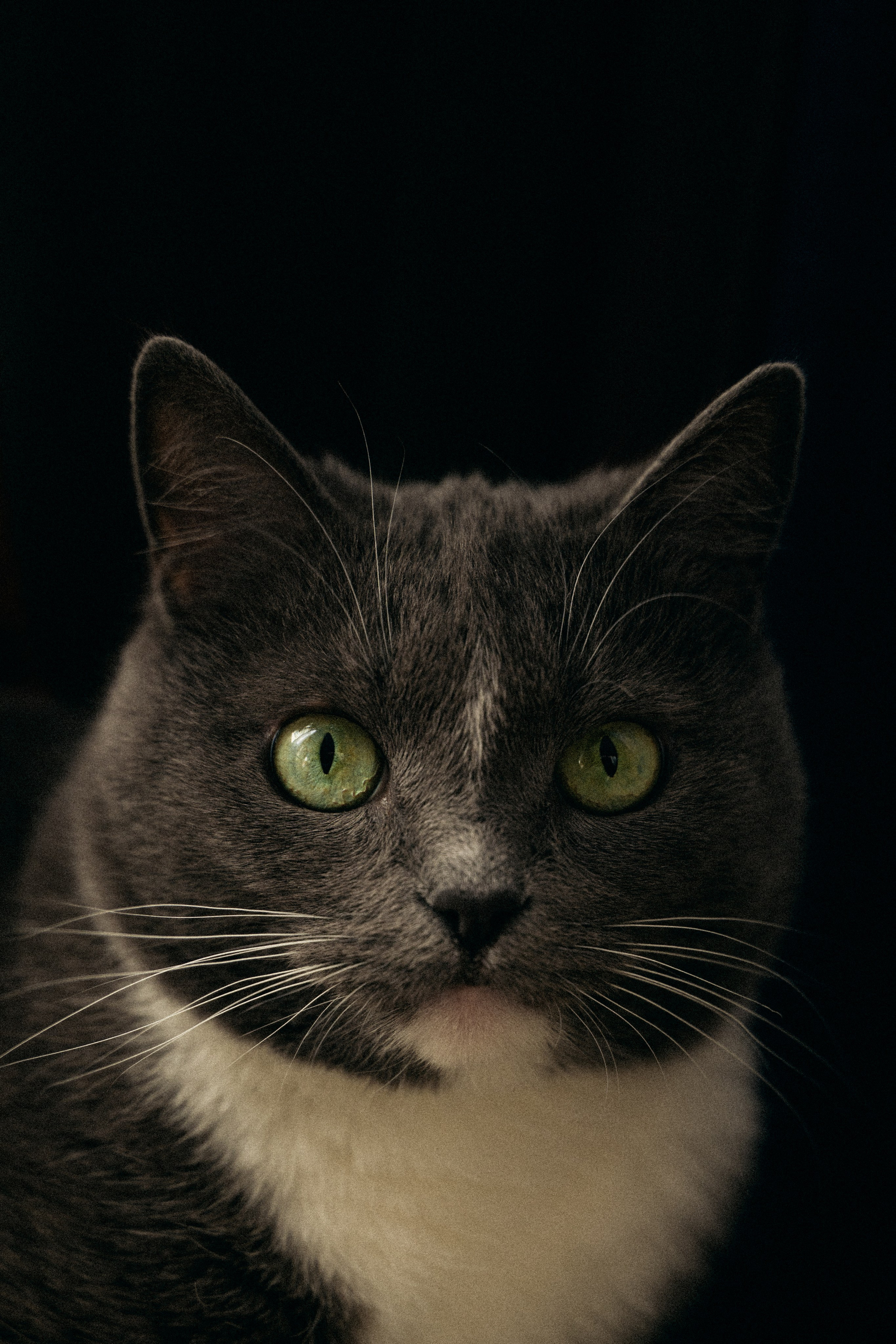 Хочешь я тебе спою?. Главная