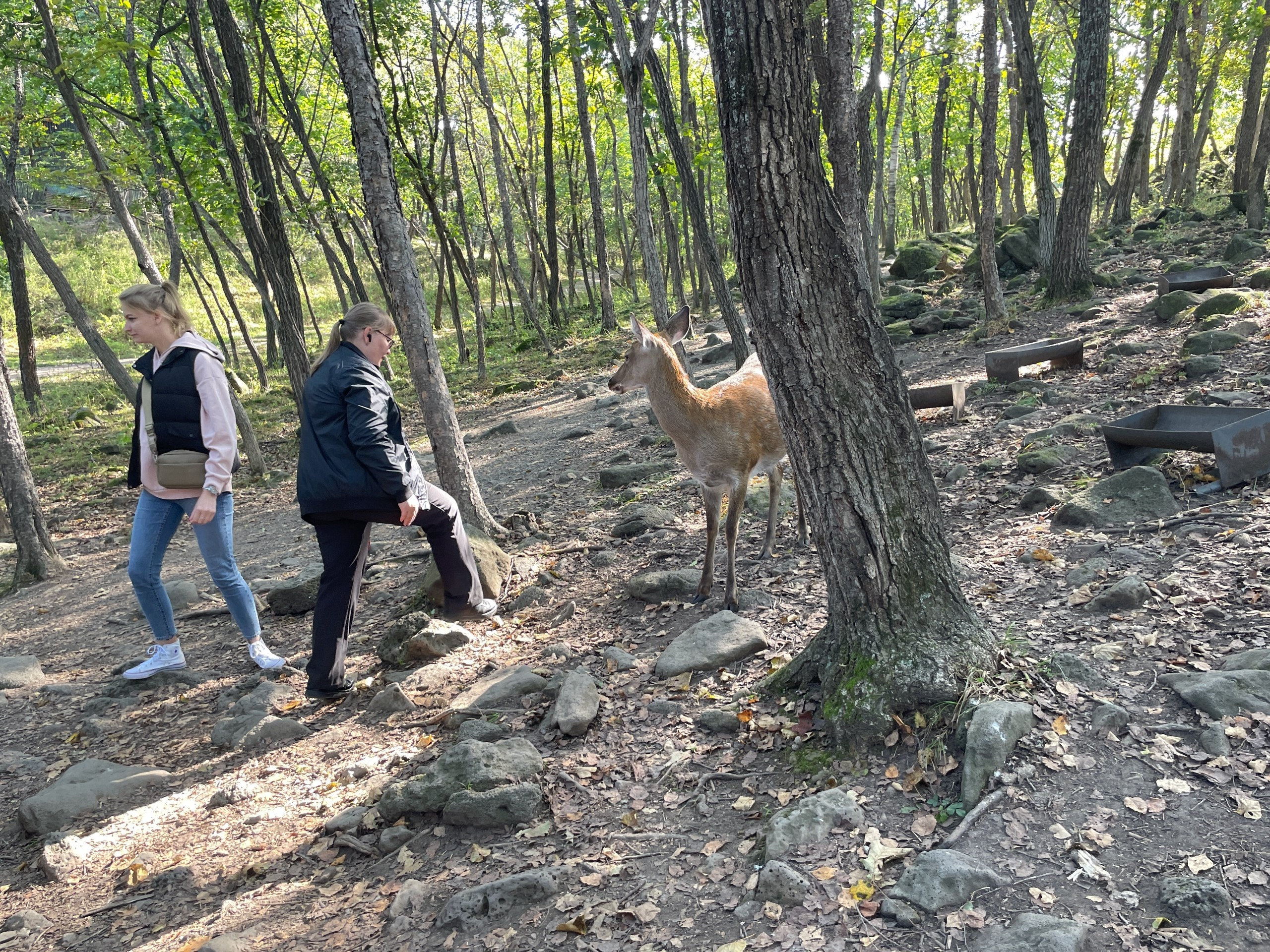 Владивосток 1 | 18-21.09.2025. Галерея Фантим