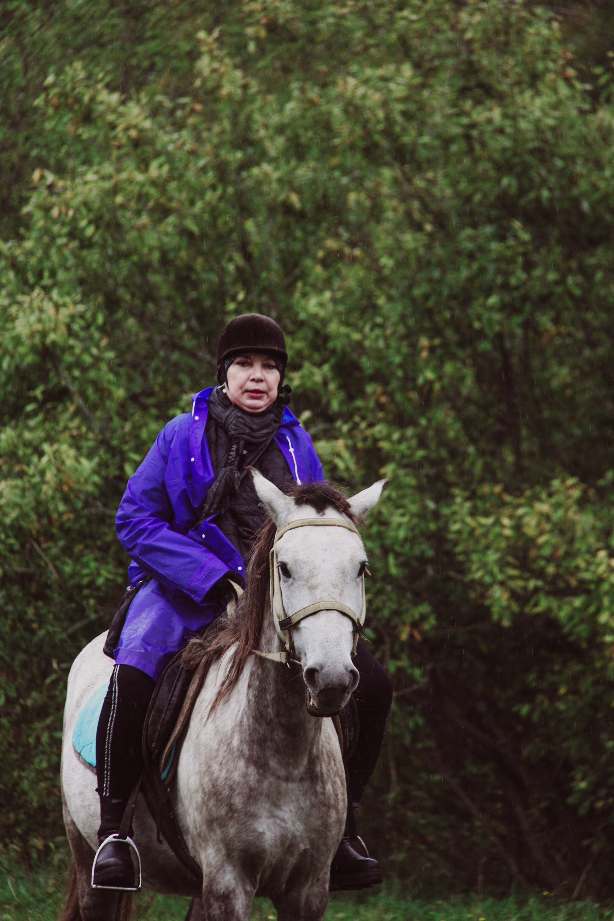 Лошадинг | 27.09.2025. Галерея Фантим