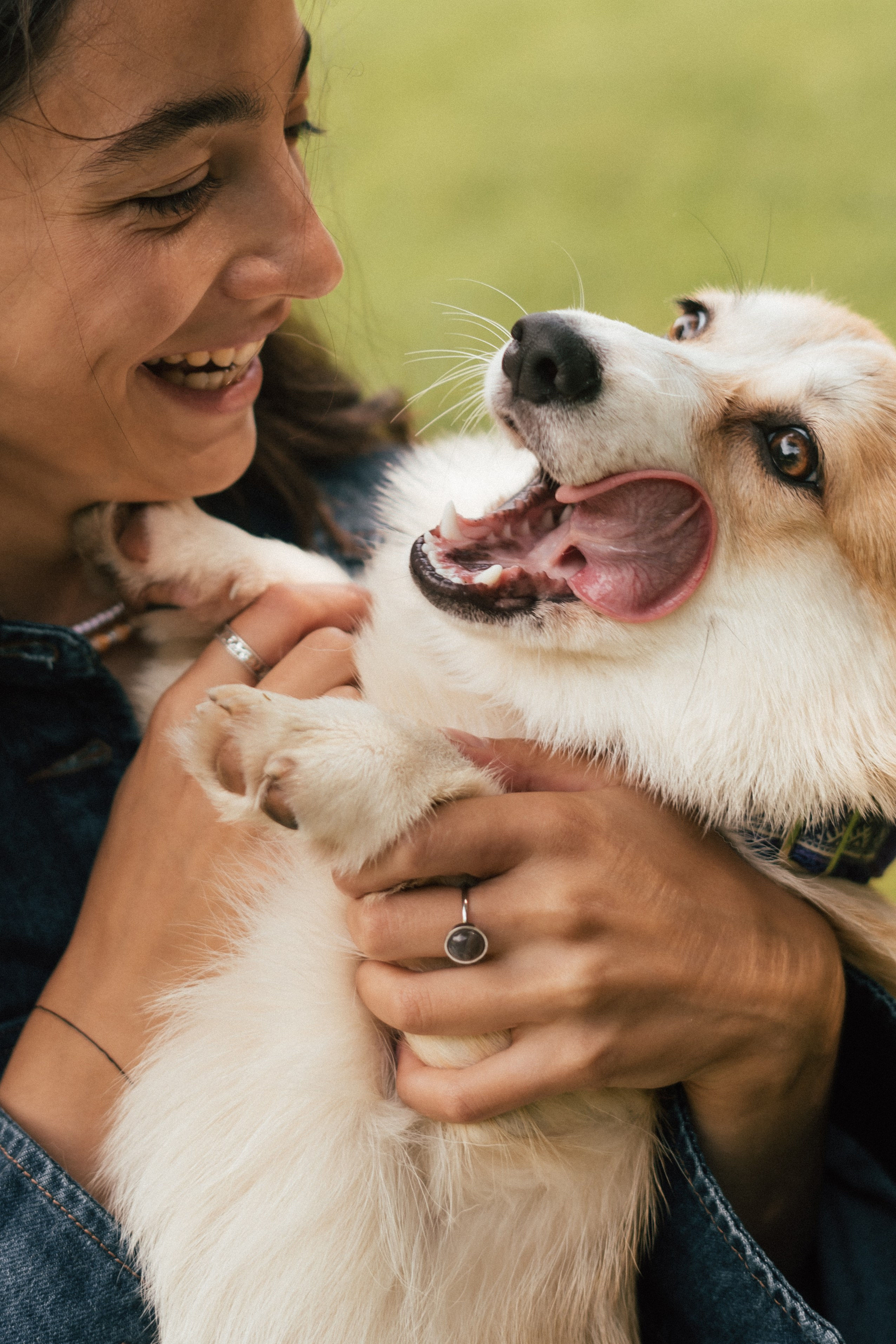 Фотосессия с собакой сахалин. Фотограф сахалин