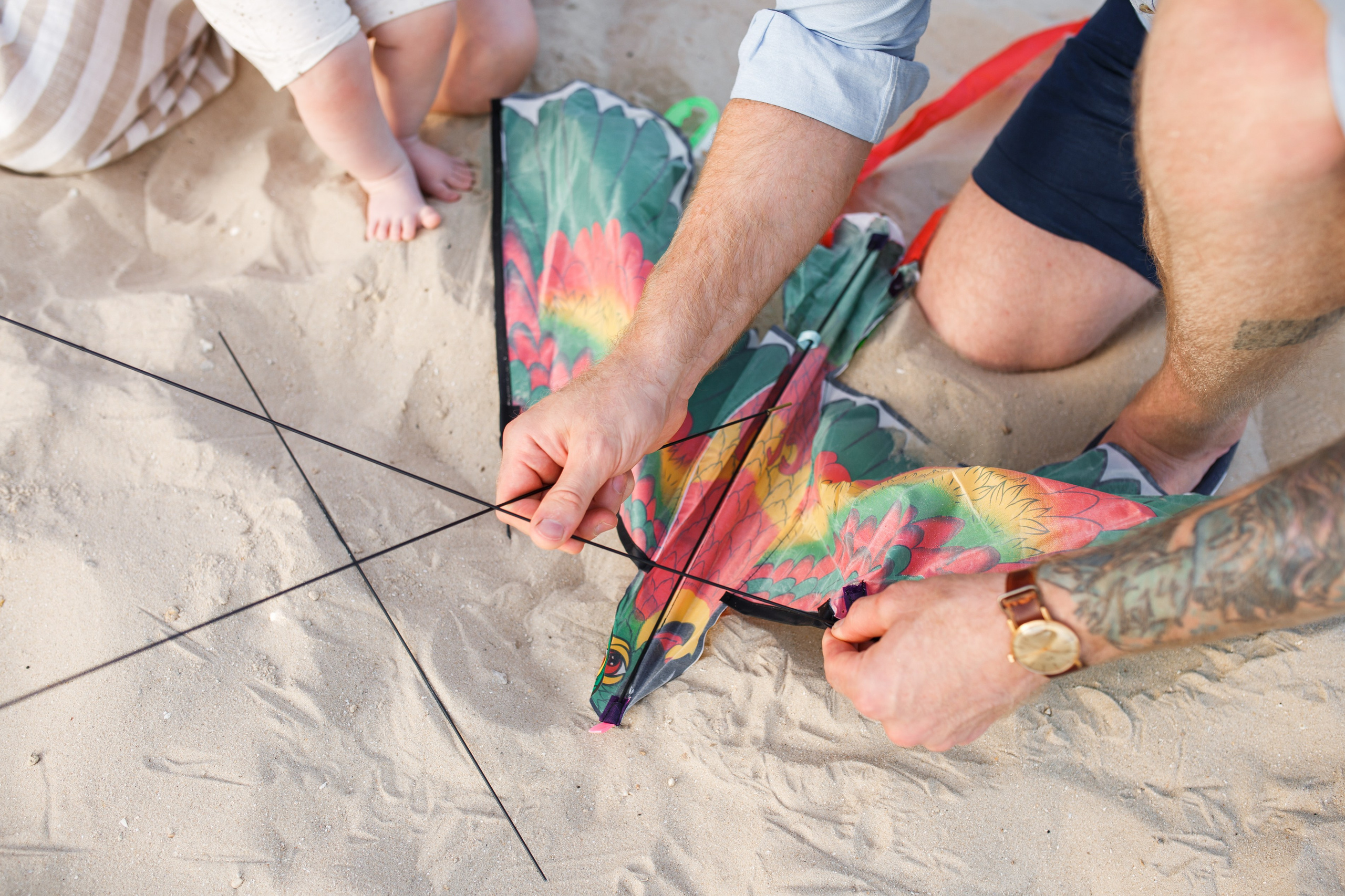 Солнце, ветер и любовь. Главная