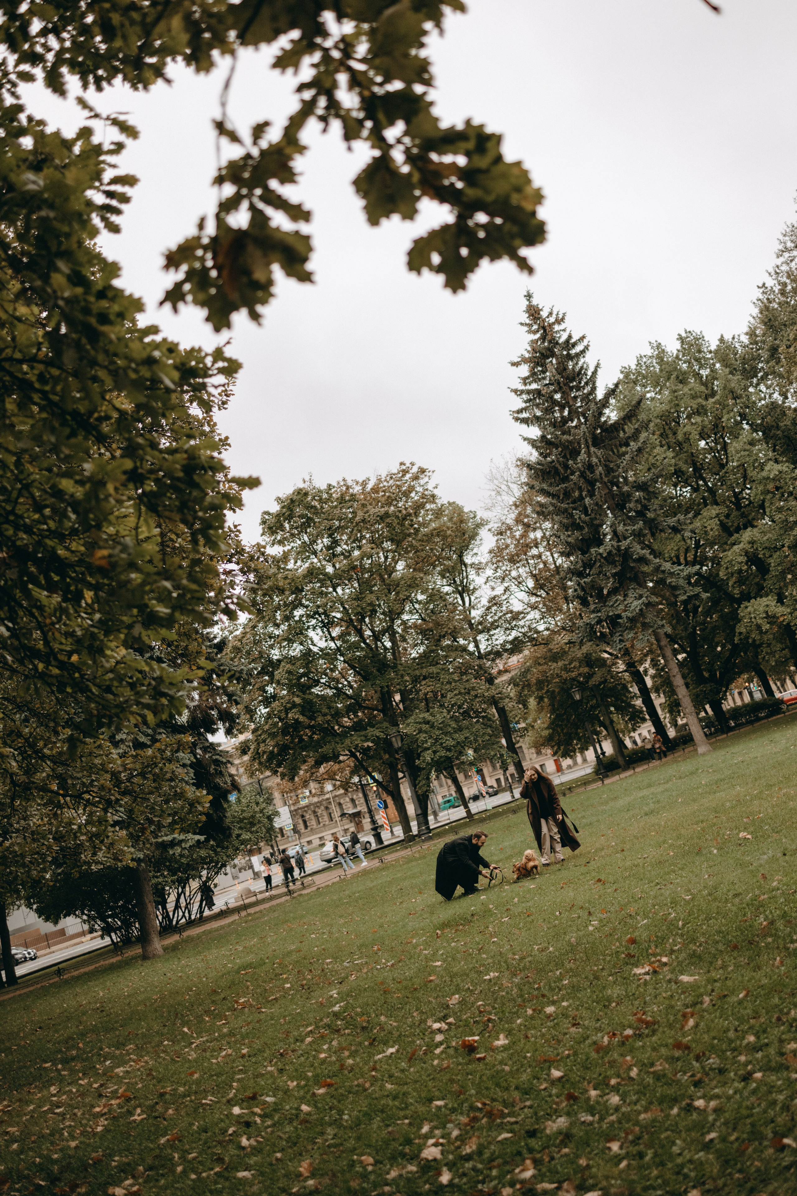 Жу и ее семья. Фотограф — Анималист | Санкт-Петербург