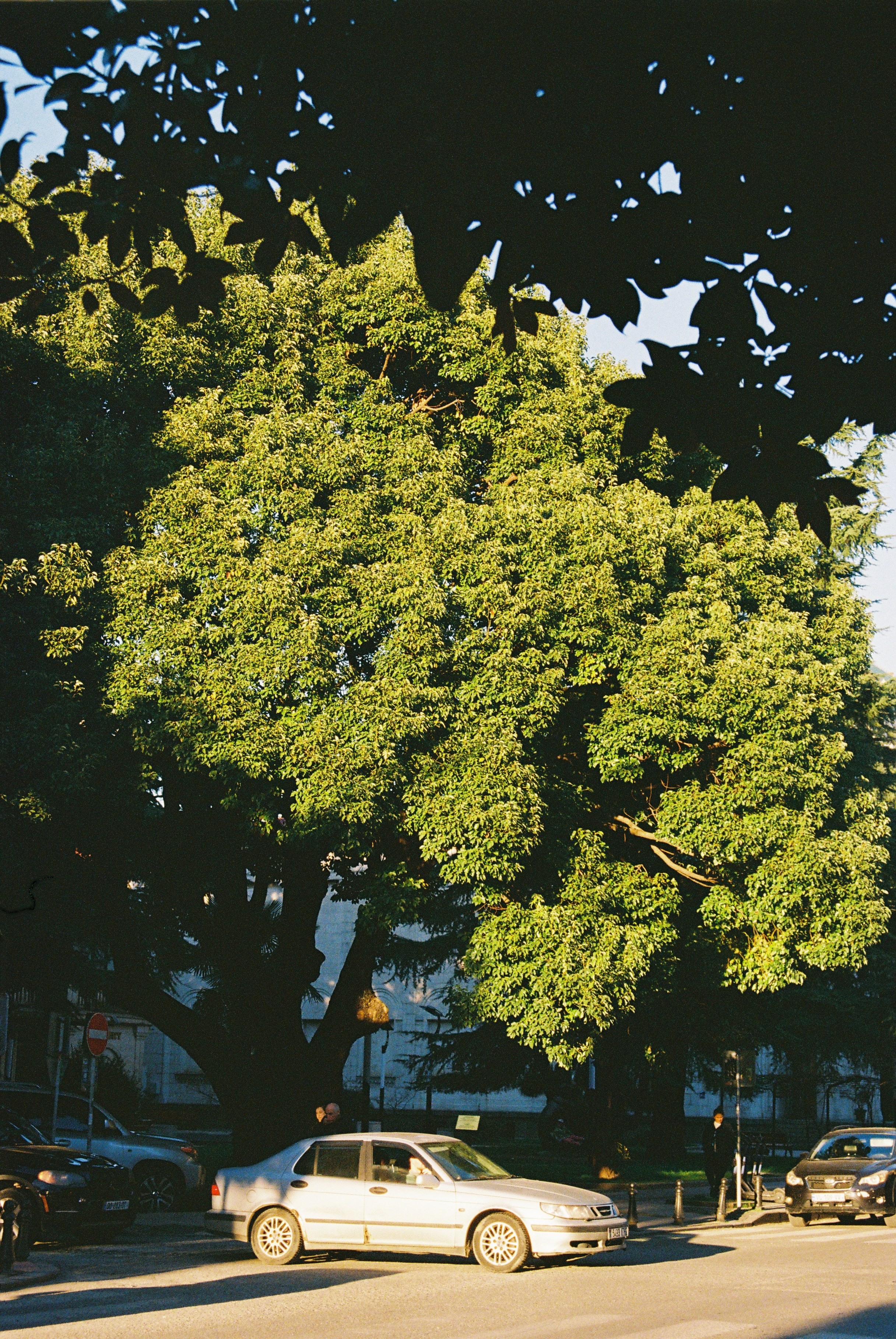 ON THE GO. Сocoobird || Атмосфера твоего бренда в снимках и видео