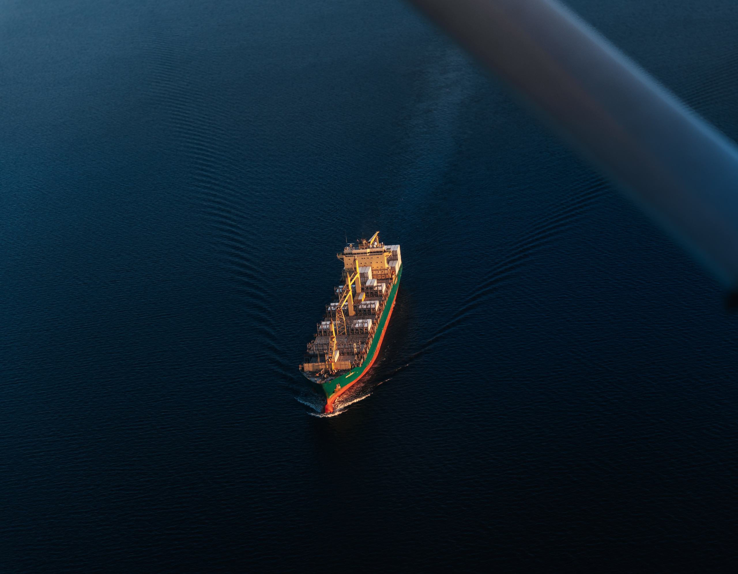 Портфолио. Фотограф Александра Франк, Санкт-Петербург