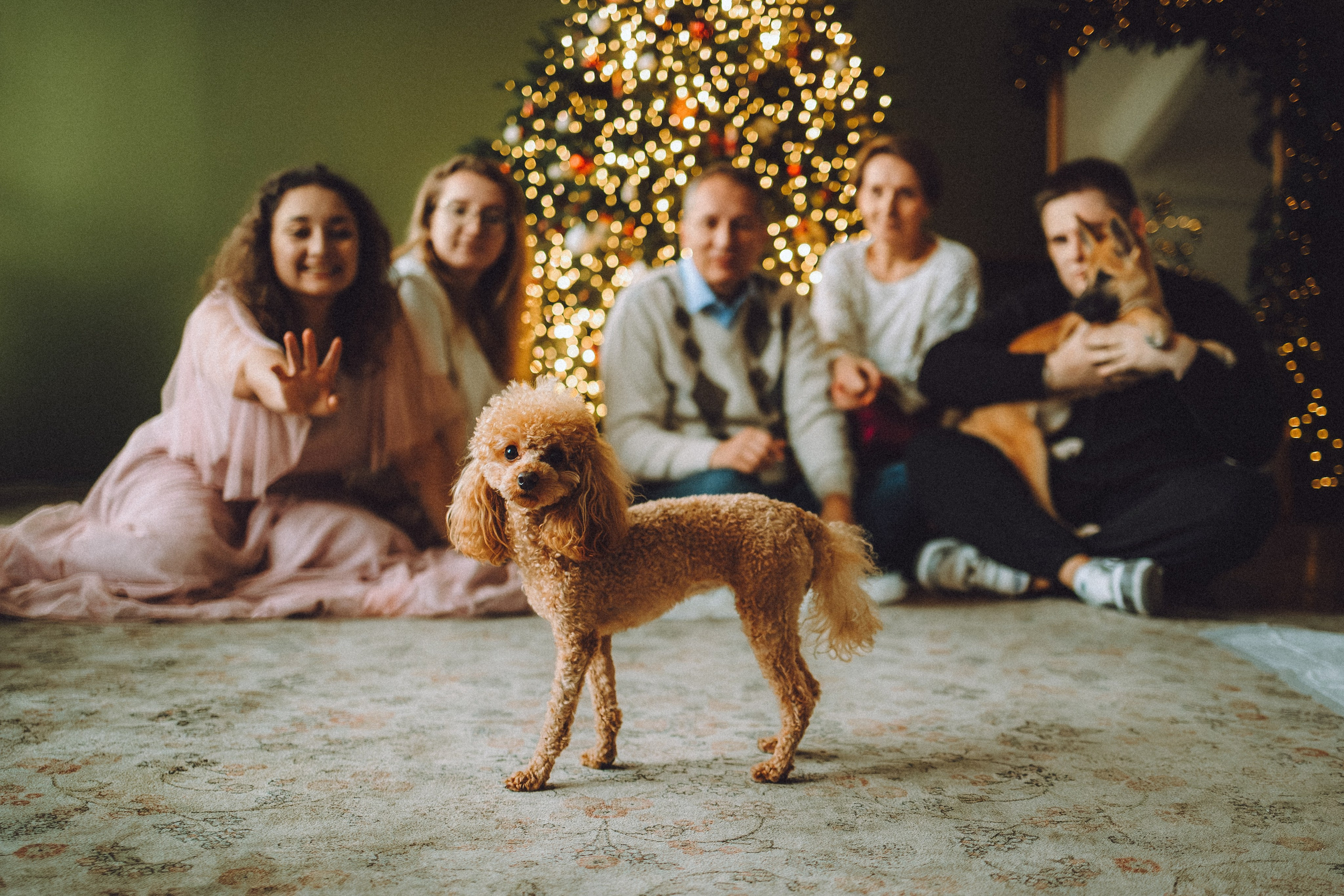 Джули, Шелли и их семья