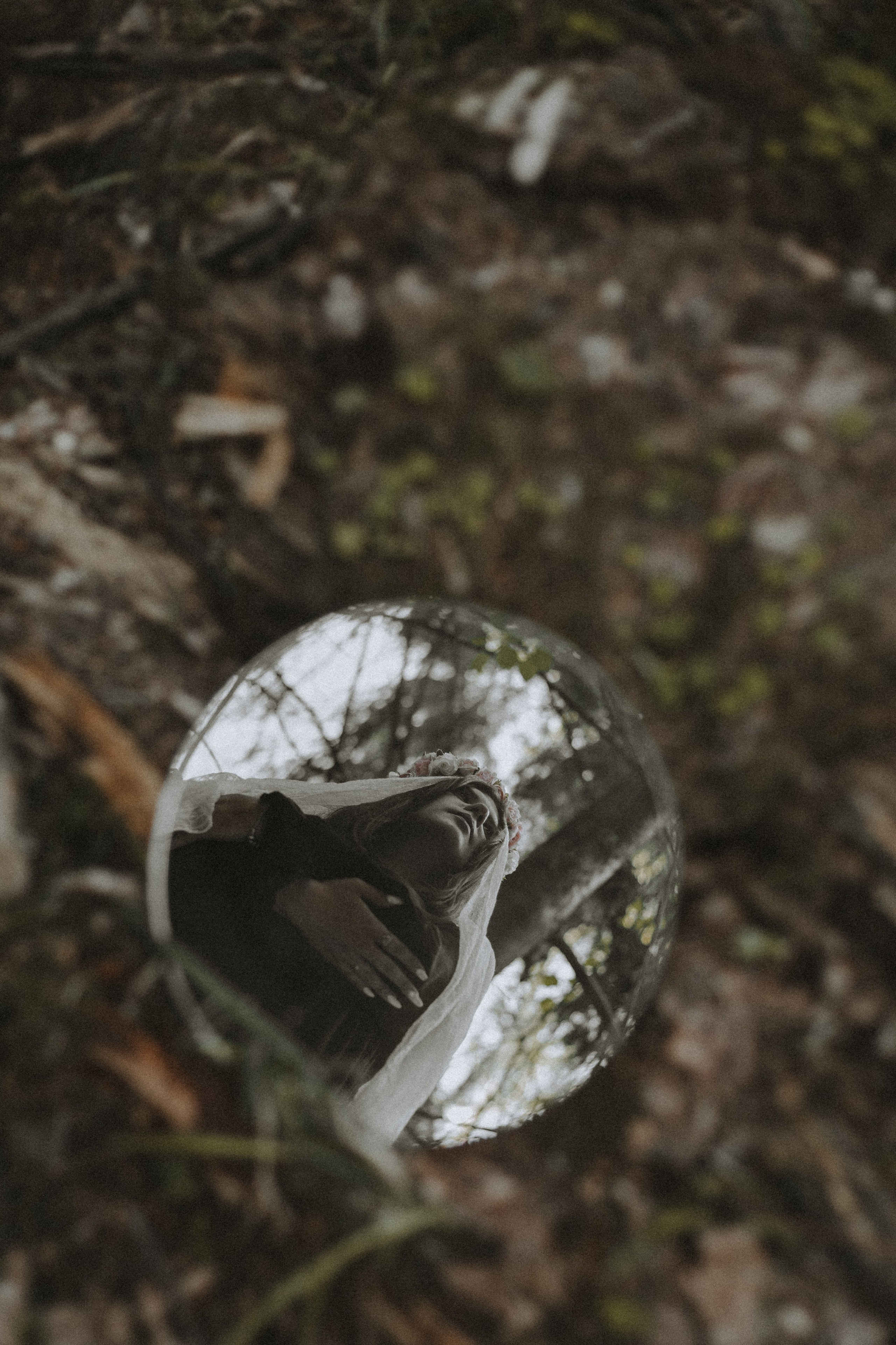 Лес. Фотограф Москва / Балашиха