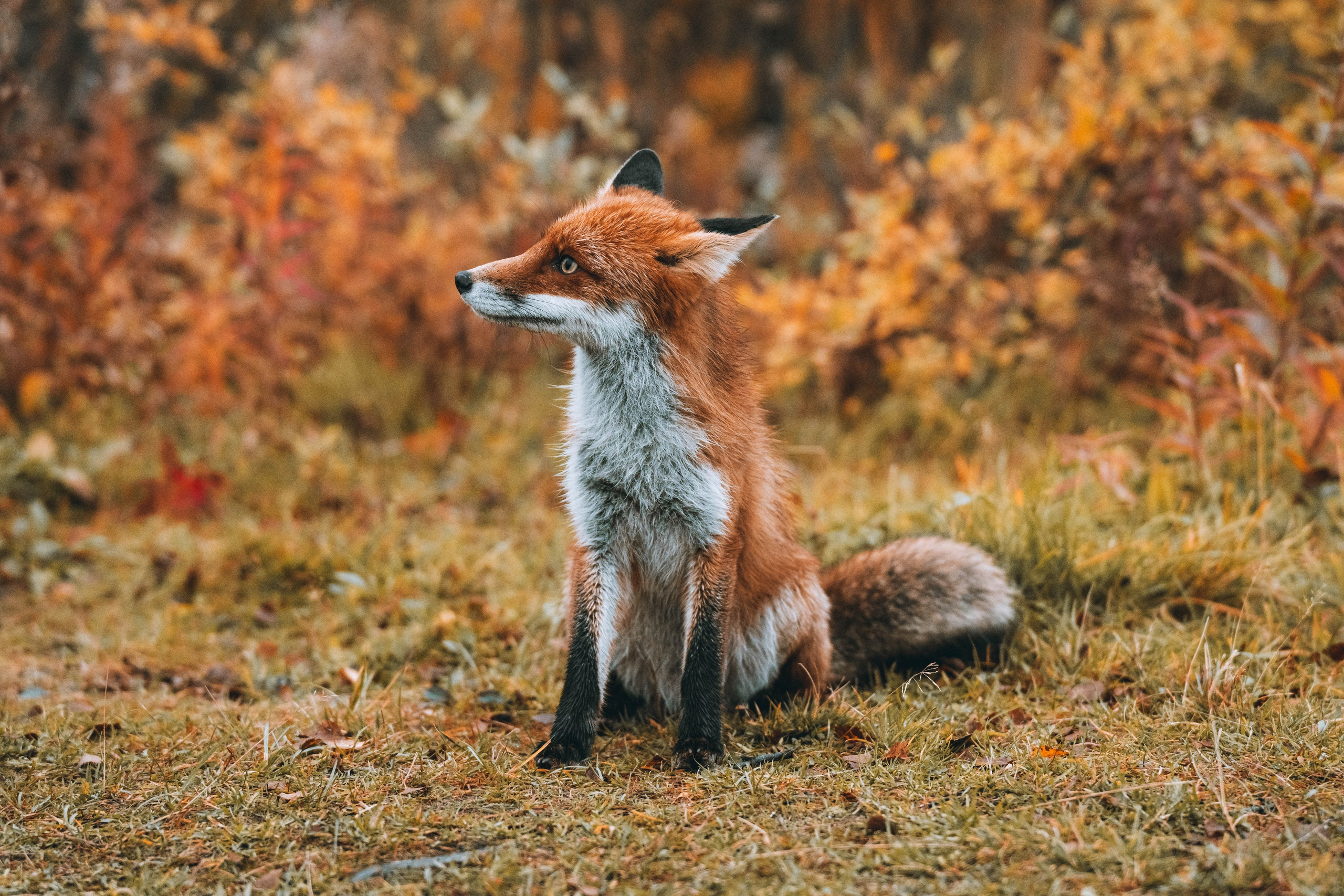 СЕВЕР. Event фотограф Степанова Александра