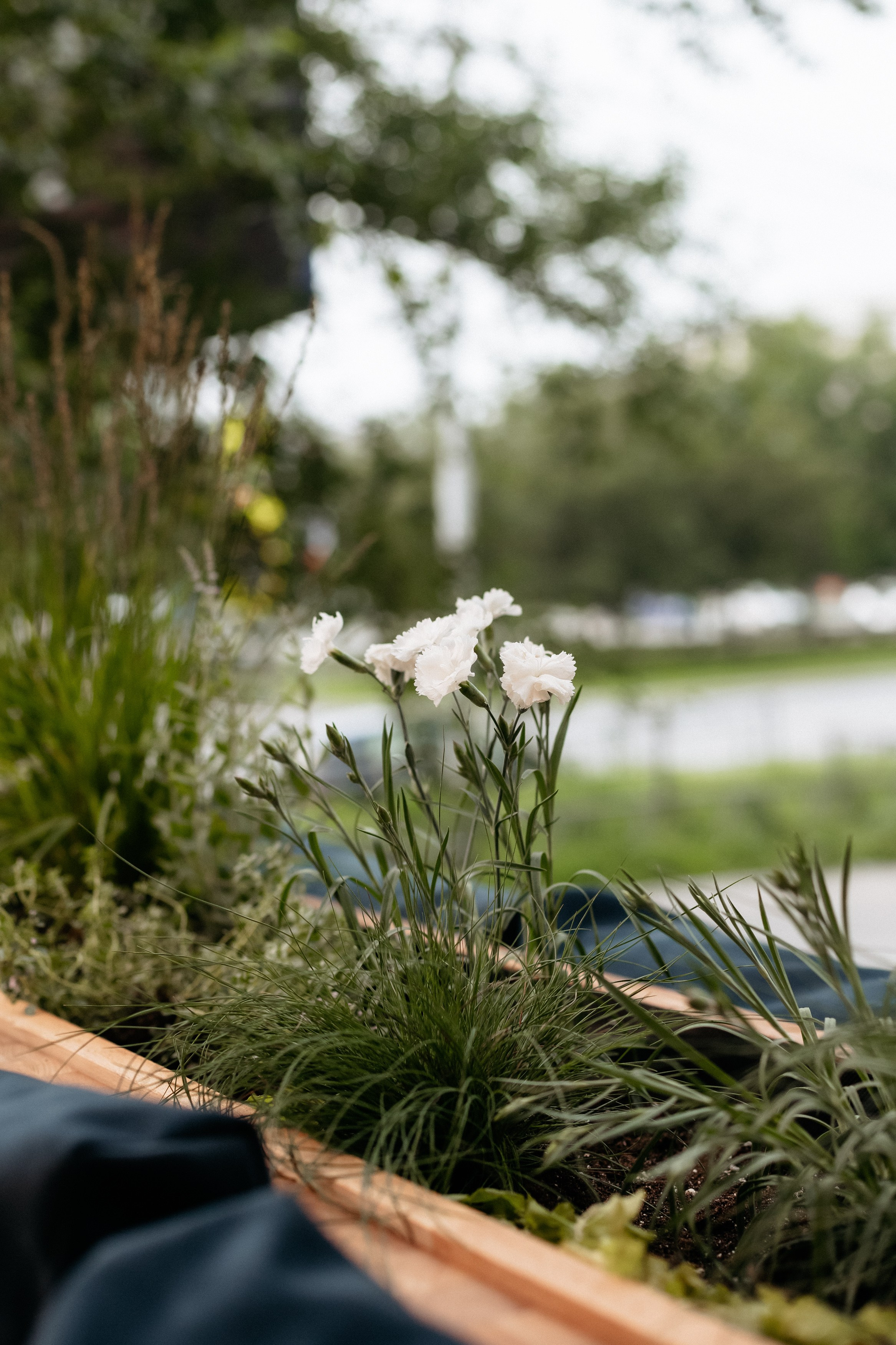 РЕСНОТА — ОТКРЫТИЕ ТЕРРАСЫ. СВОИ. ФОТООТЧЕТЫ-СОБЫТИЯ-МЕСТА