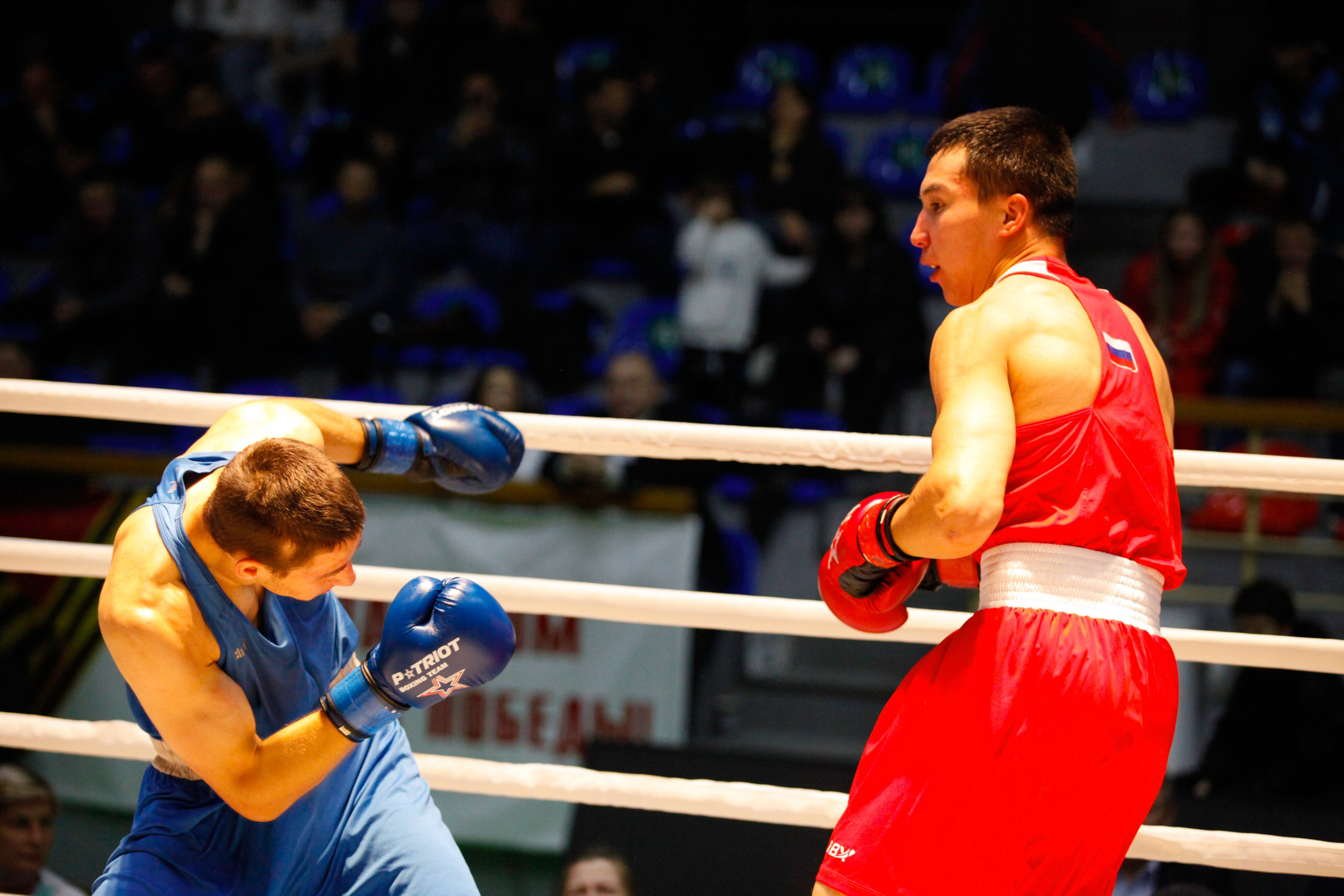 БОКС. Фото. Спортивный фотограф, трансляция, звук и свет в Новосибирске