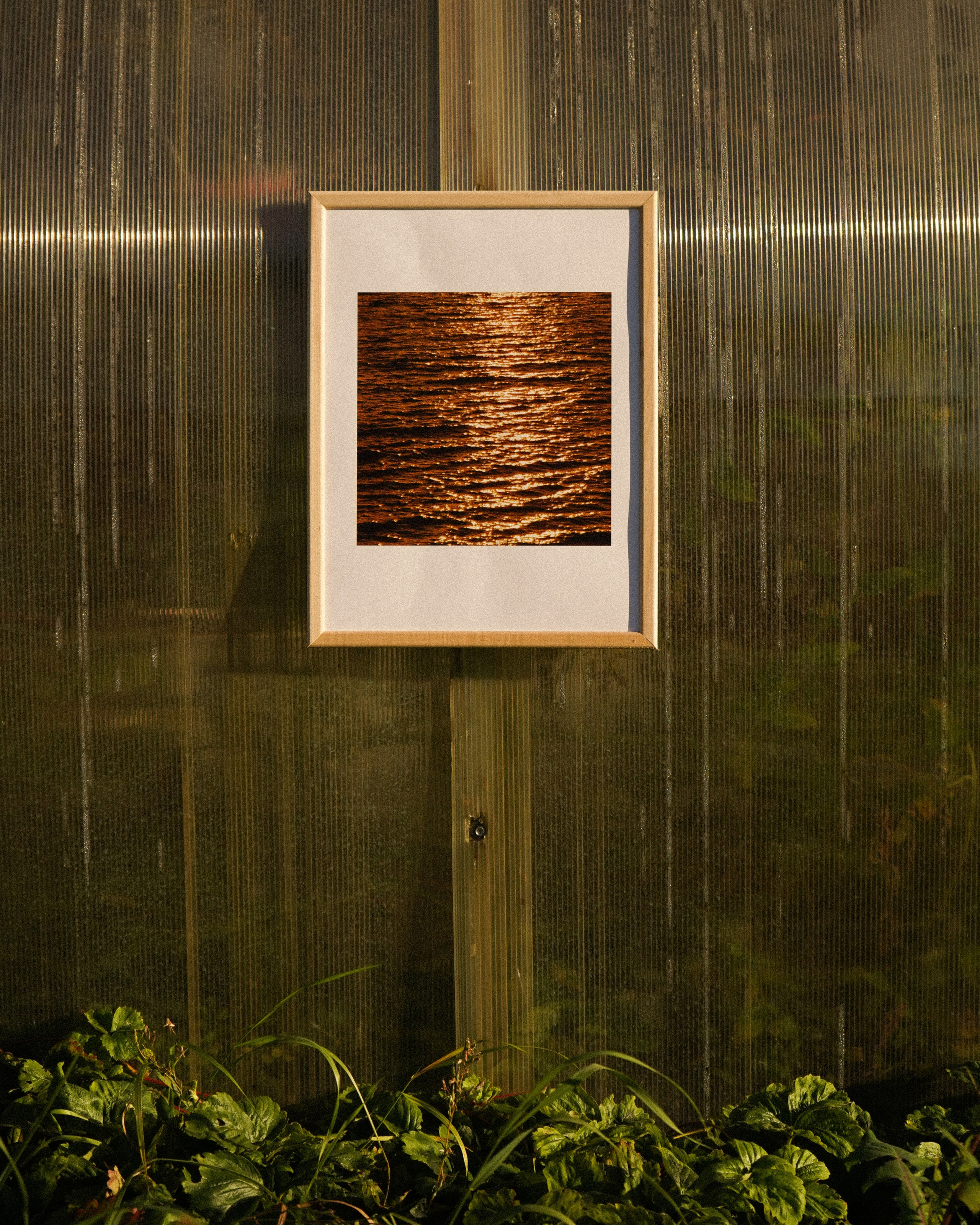 WAVES. Фотограф Нижний Новгород