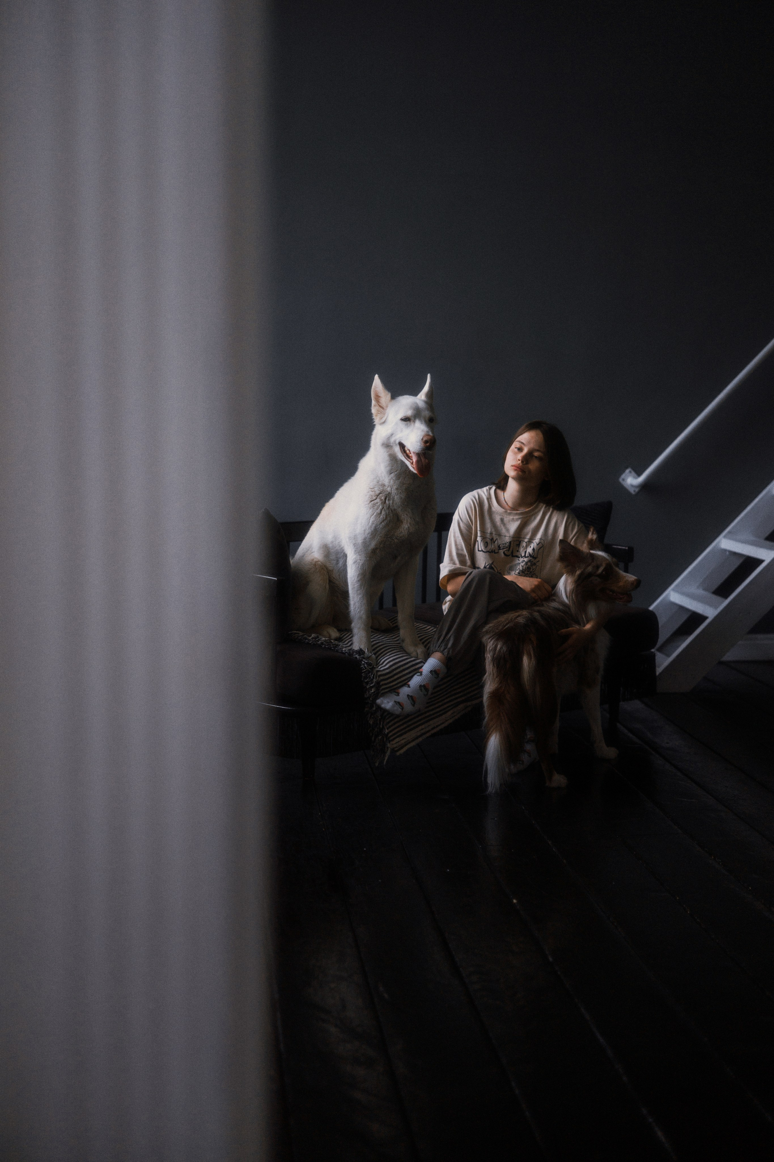 Аня, Дэймон и Грэй. Фотограф-анималист Богданова Полина