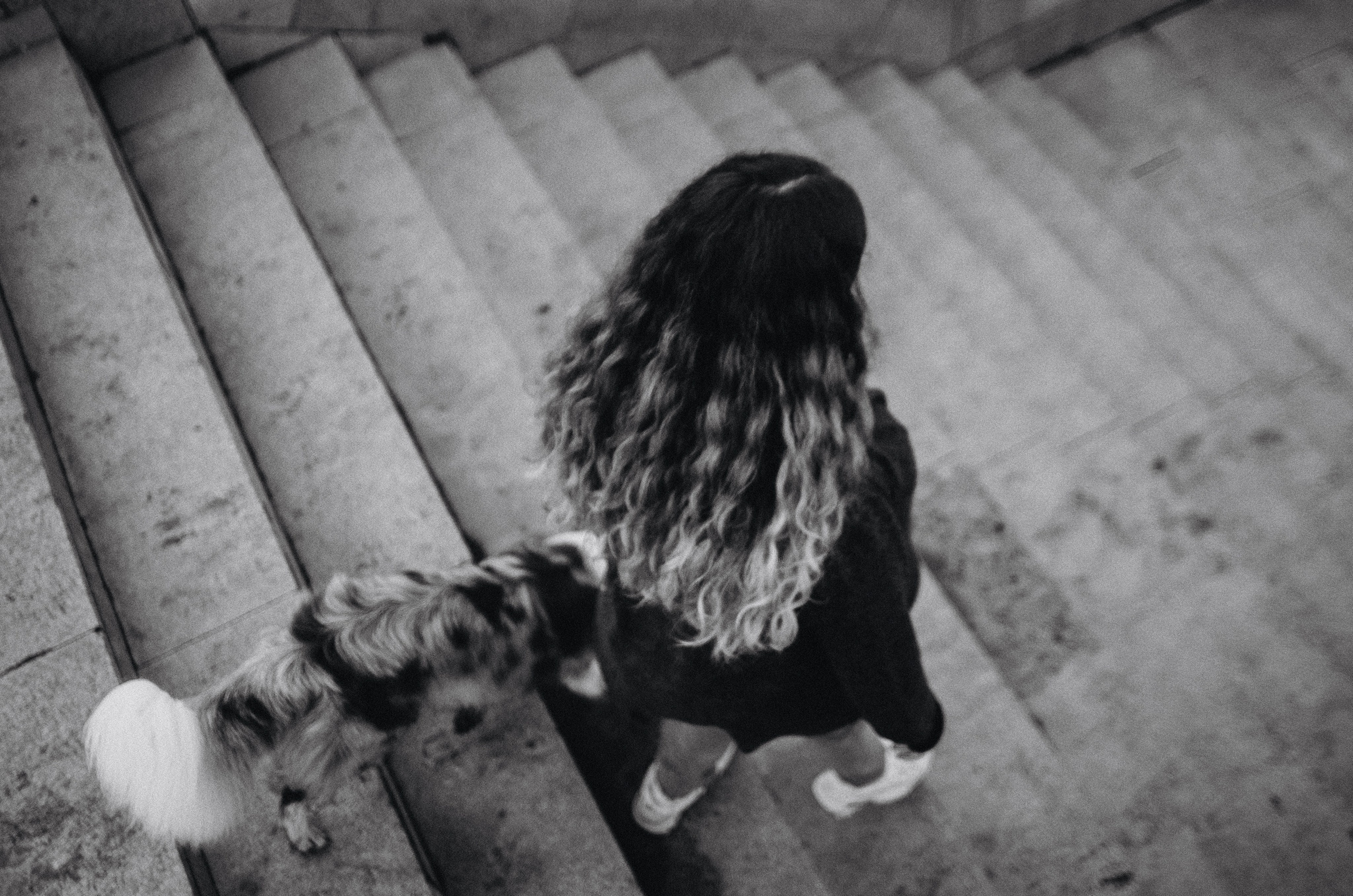 Алина и Бруна. Фотограф-анималист Богданова Полина