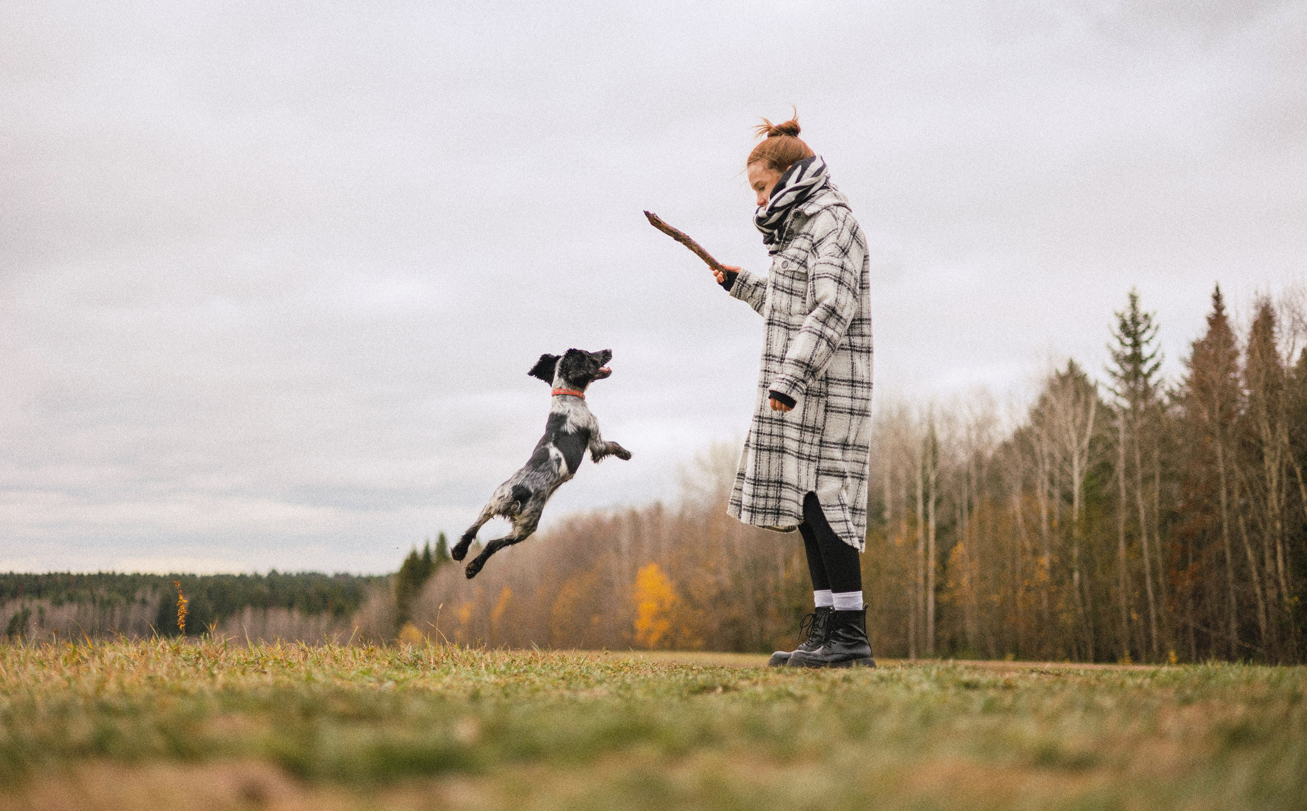 Вика и Ава. Фотограф-анималист Богданова Полина