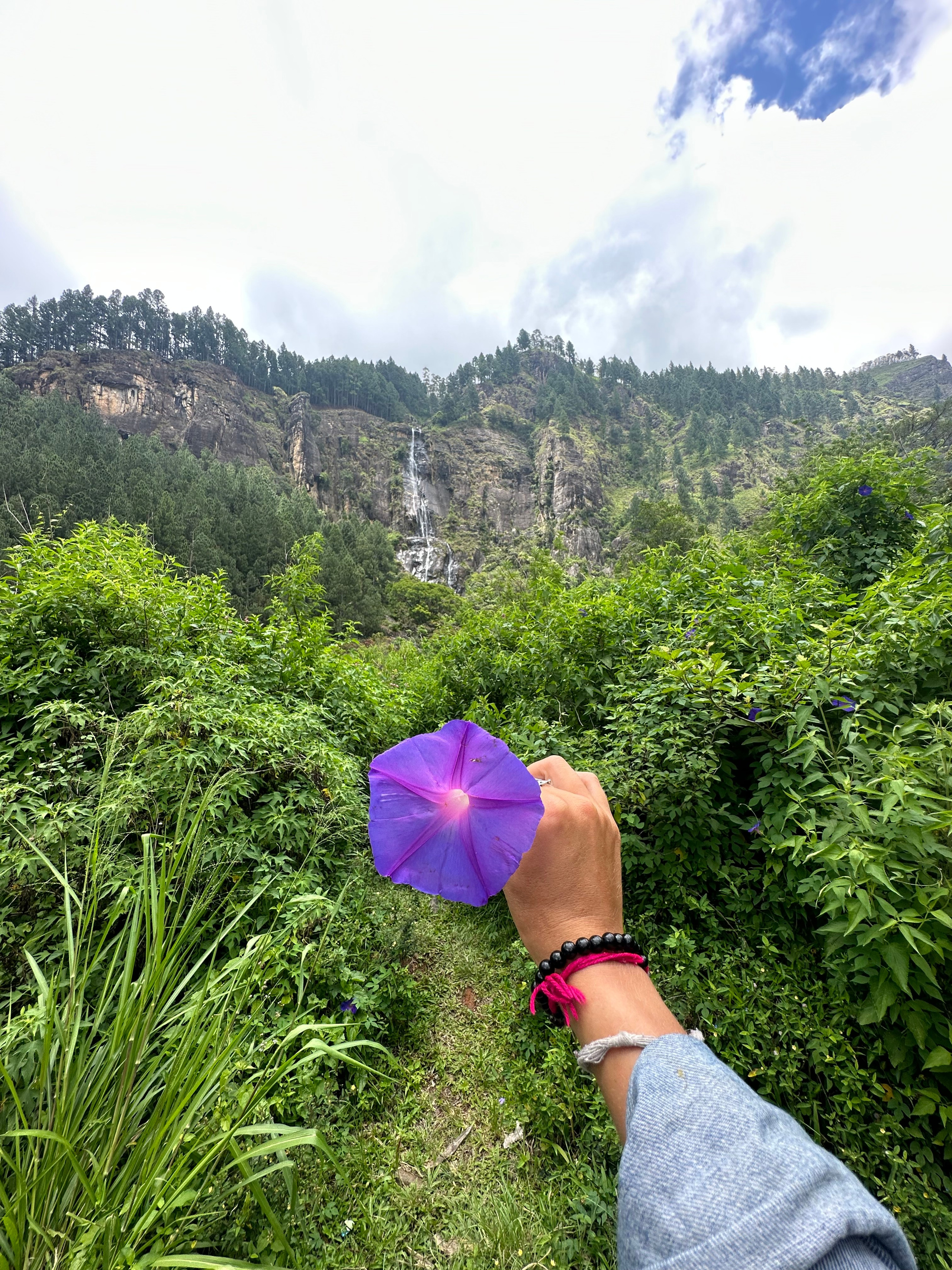 journey to Bambarakanda