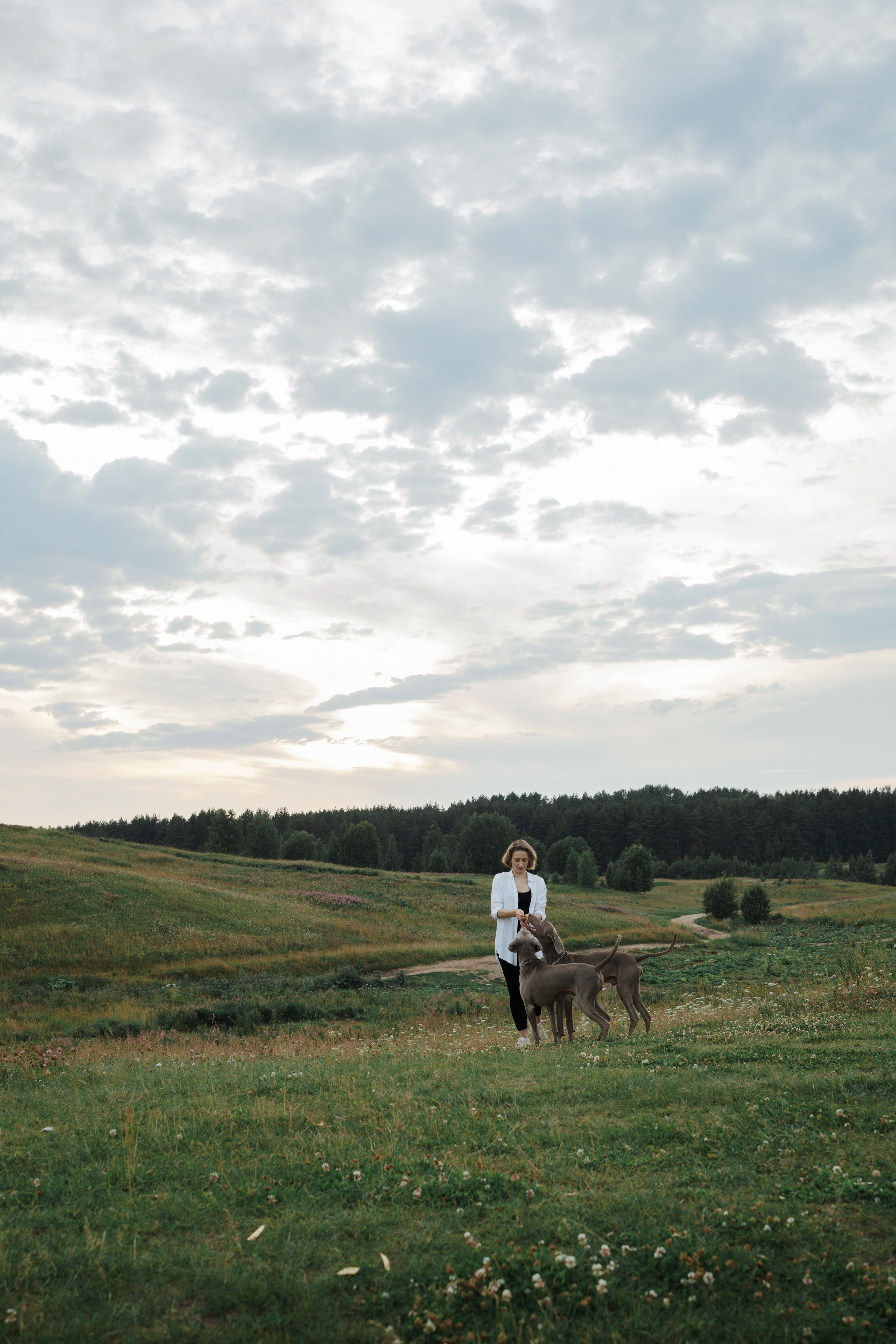 Маргарита и веймаранеры. Фотограф-анималист в Санкт-Петеребурге Титова Алиса