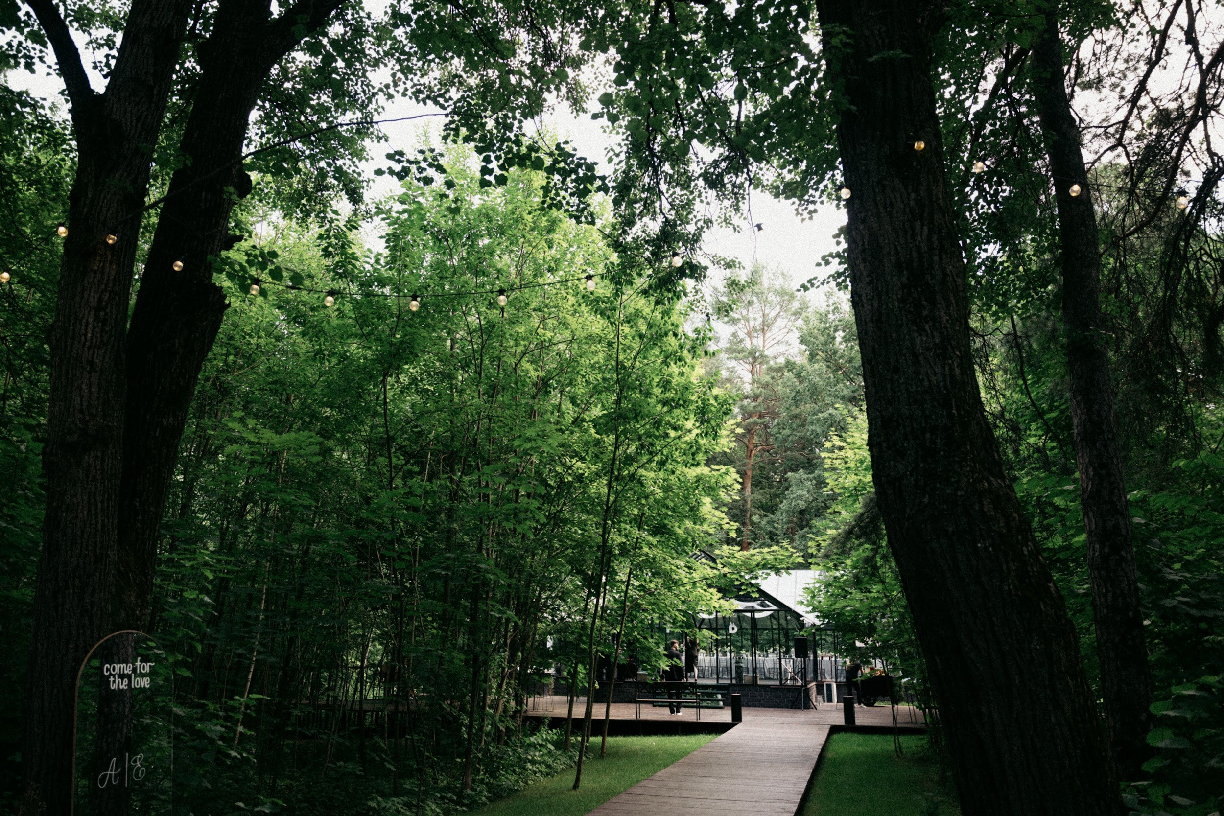 Лиза & Паша. Оформление свадеб, декор свадеб Вера Маркова, Москва
